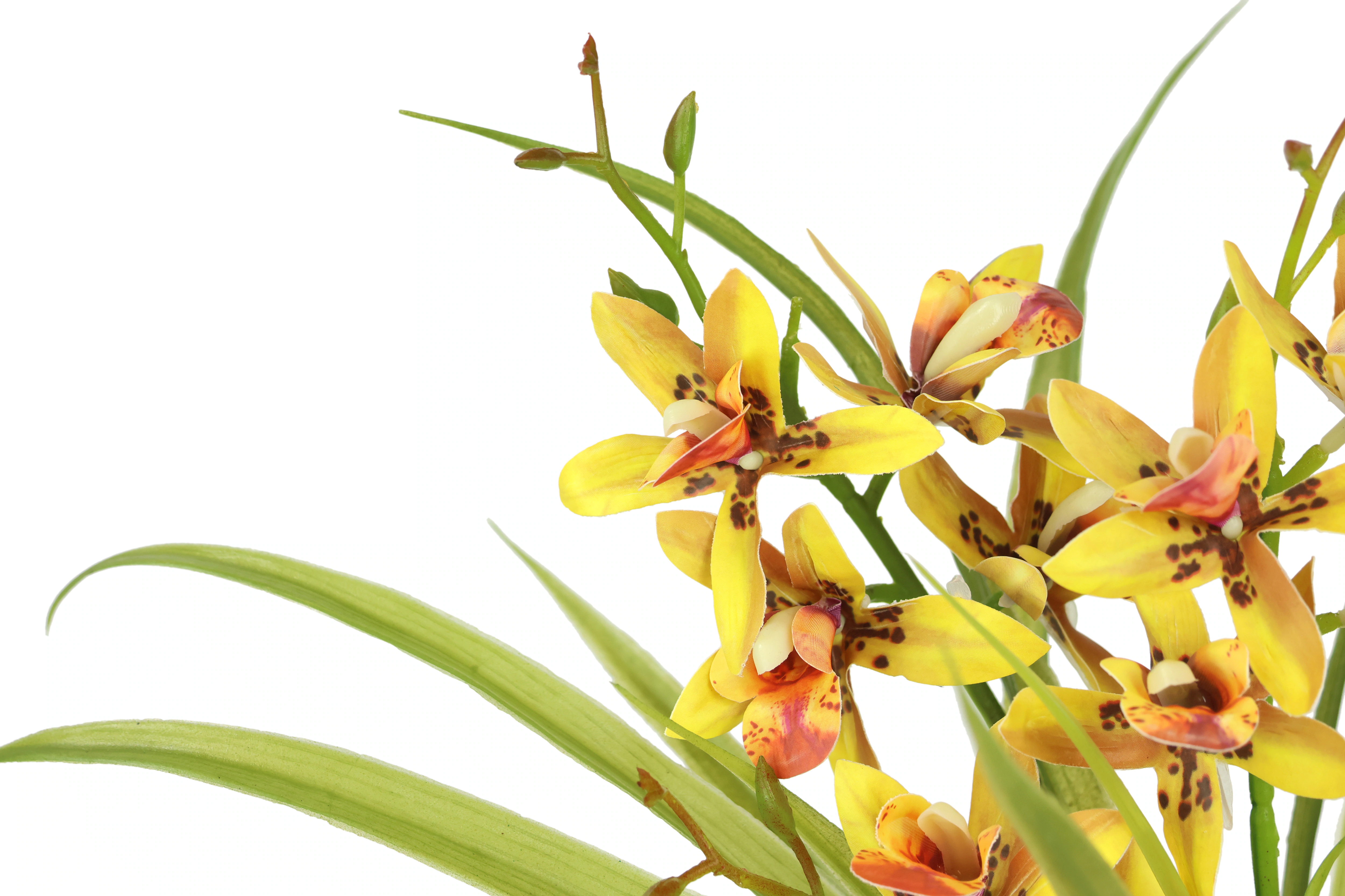 I.GE.A. Kunstblume "Kunstblume Schmetterling Orchidee mit Keramiktopf", Mit günstig online kaufen