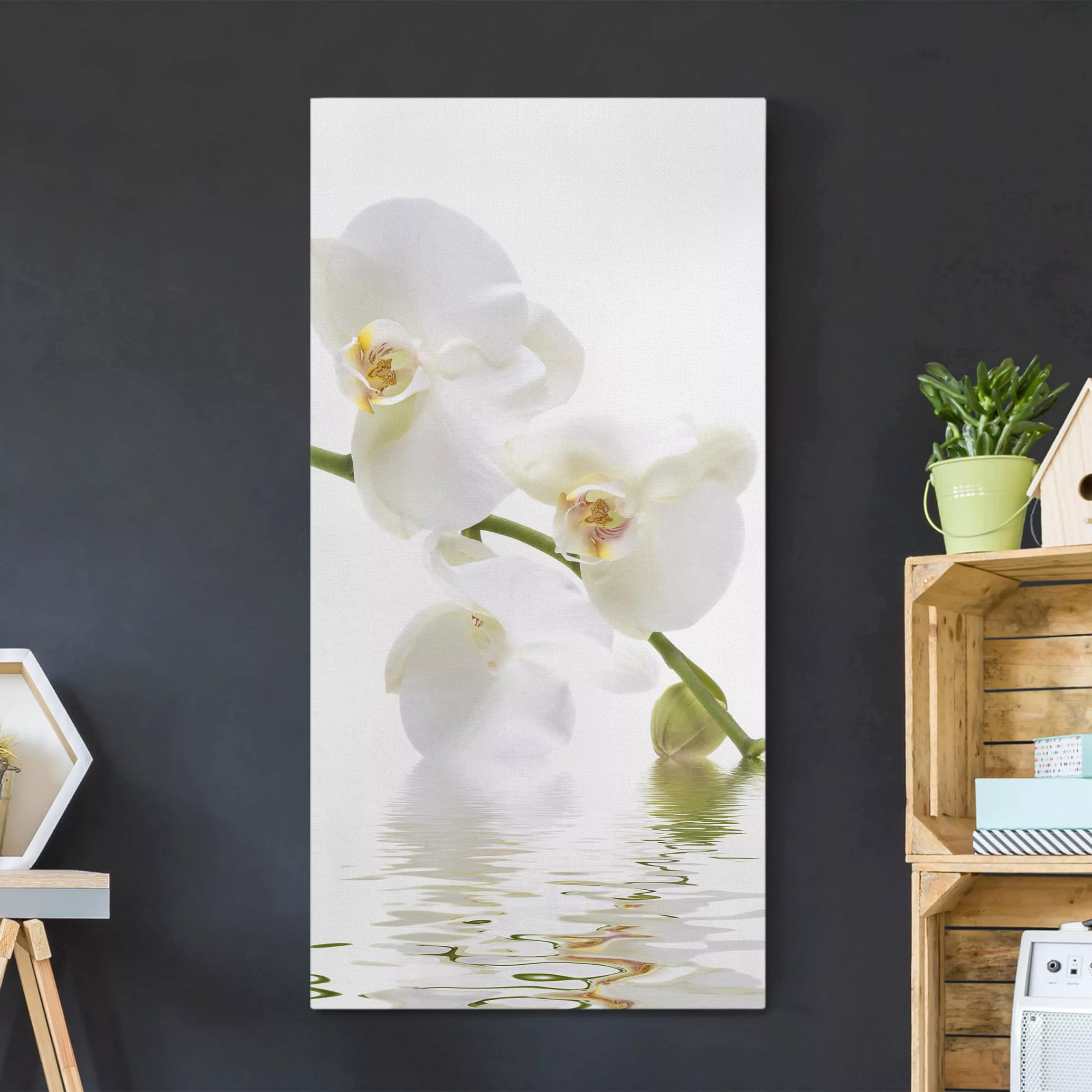 Leinwandbild Blumen - Hochformat White Orchid Waters günstig online kaufen