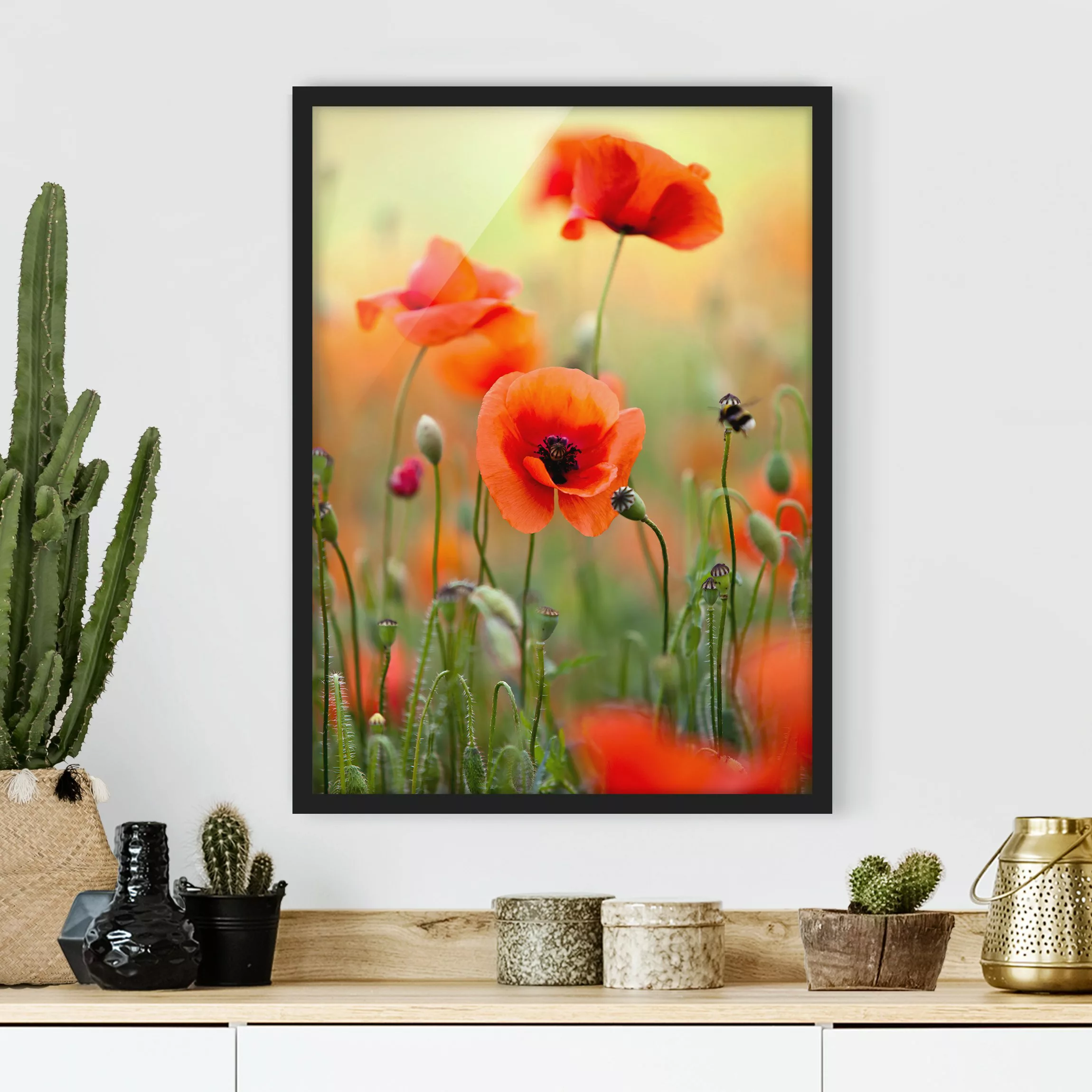 Bild mit Rahmen Blumen - Hochformat Roter Sommermohn günstig online kaufen