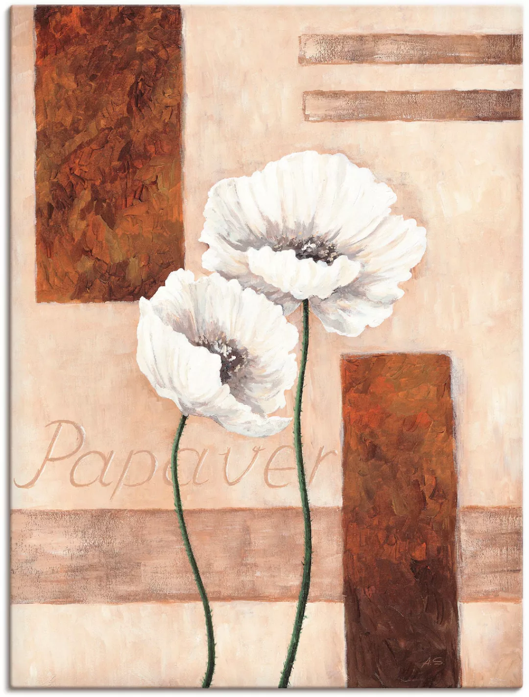 Artland Leinwandbild "Papaver - Mohnblumen", Blumenbilder, (1 St.), auf Kei günstig online kaufen