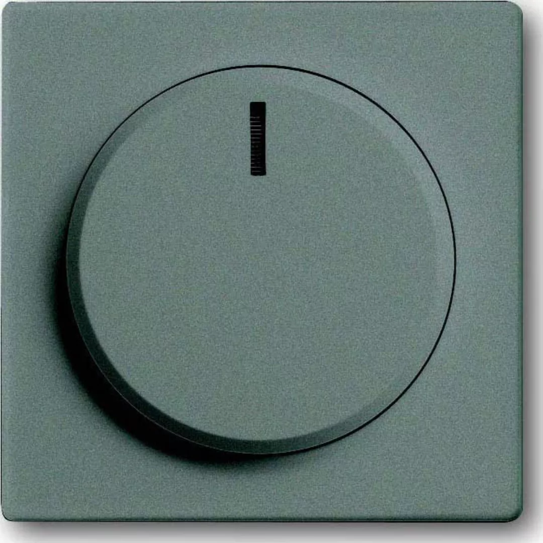 Busch-Jaeger Zentralscheibe meteor/gr für Drehdimmer 6540-803-102 günstig online kaufen