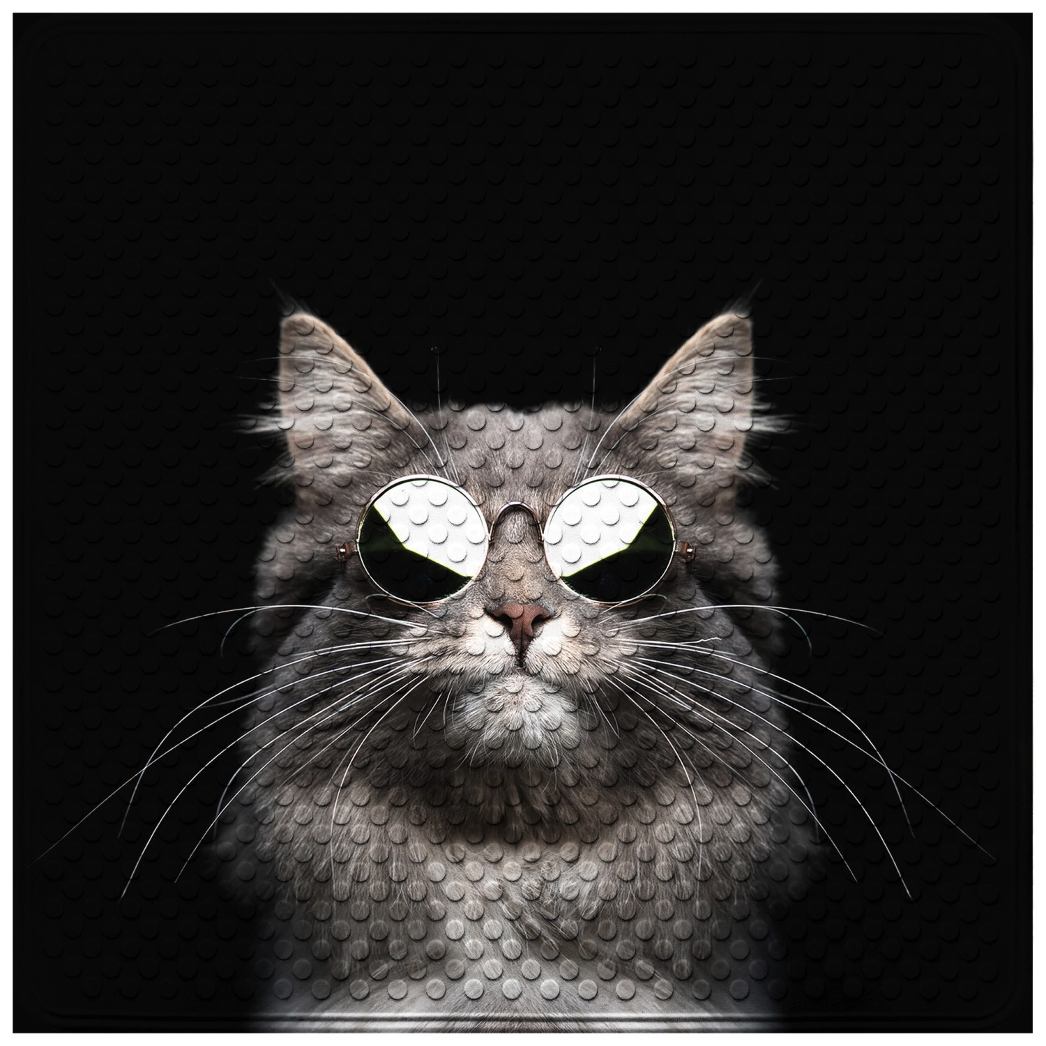 Sanilo Duschmatte Cool Cat, rutschfest & günstig online kaufen