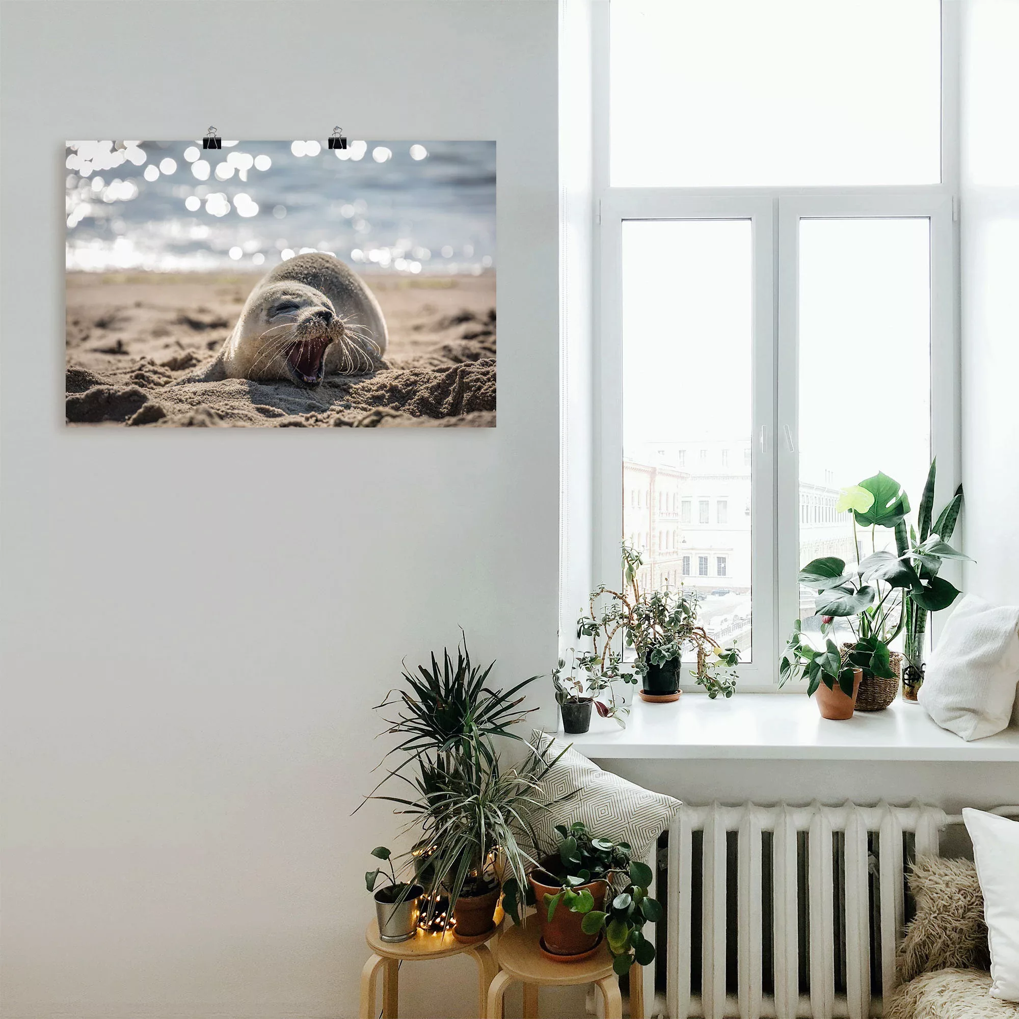 Artland Wandbild "Baby-Robbe am Strand von List, Sylt", Robben, (1 St.), al günstig online kaufen