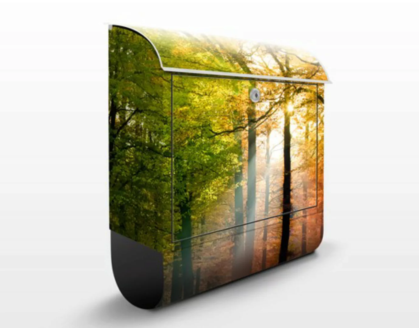 Briefkasten Natur & Landschaft Morning Light günstig online kaufen