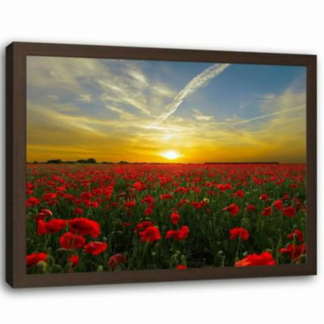 FEEBY® Kunst rote Mohnblumen Leinwandbilder bunt Gr. 90 x 60 günstig online kaufen