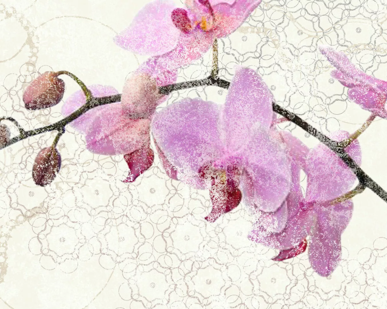 Fototapete "Orchideen" 4,00x2,50 m / Strukturvlies Klassik günstig online kaufen