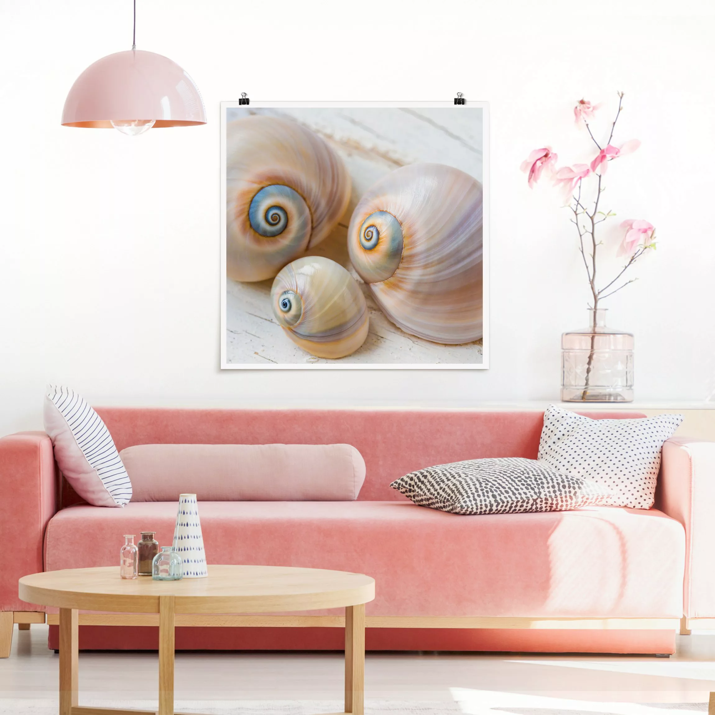 Poster Muscheltrio auf Holz günstig online kaufen