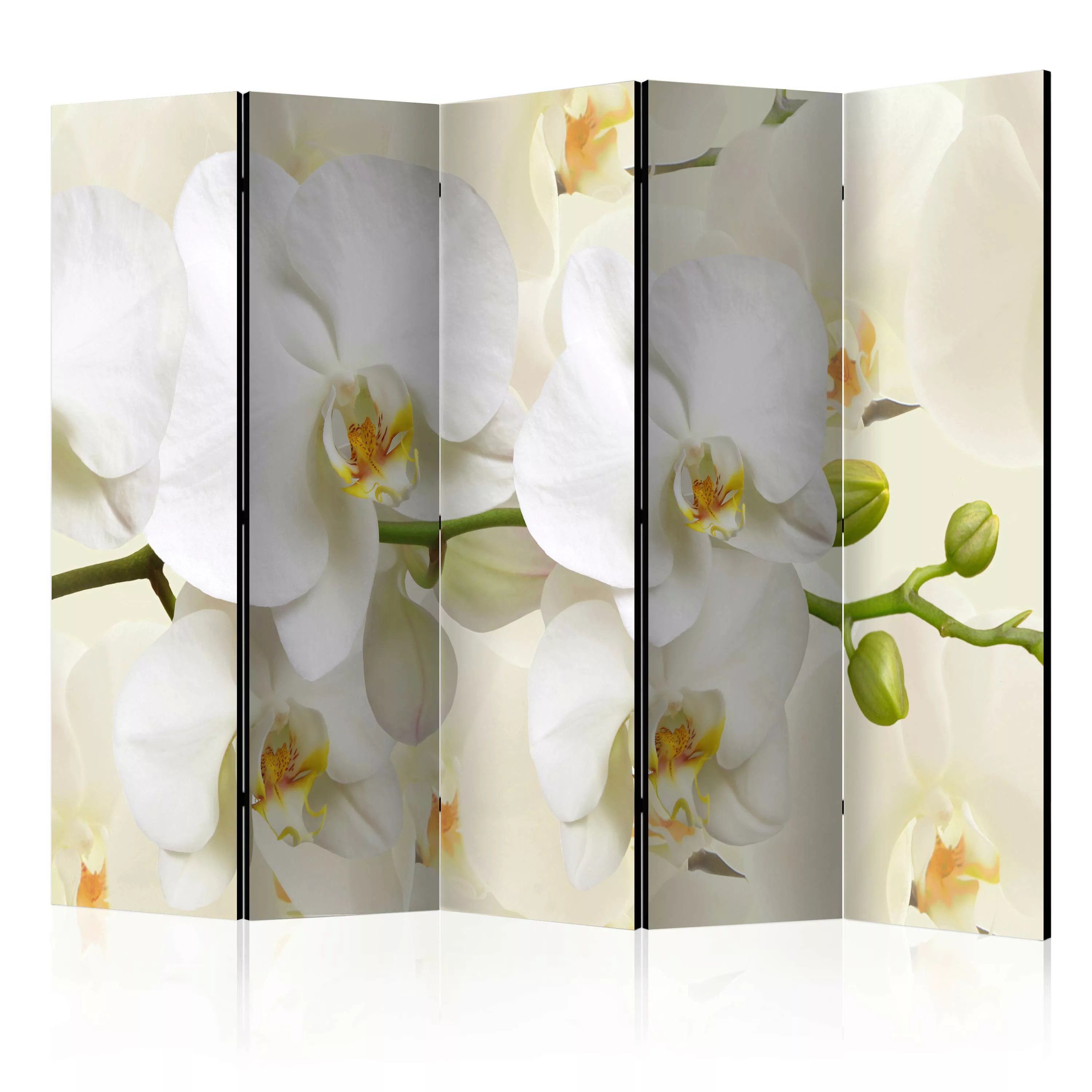 5-teiliges Paravent - Orchid Branch Ii [room Dividers] günstig online kaufen