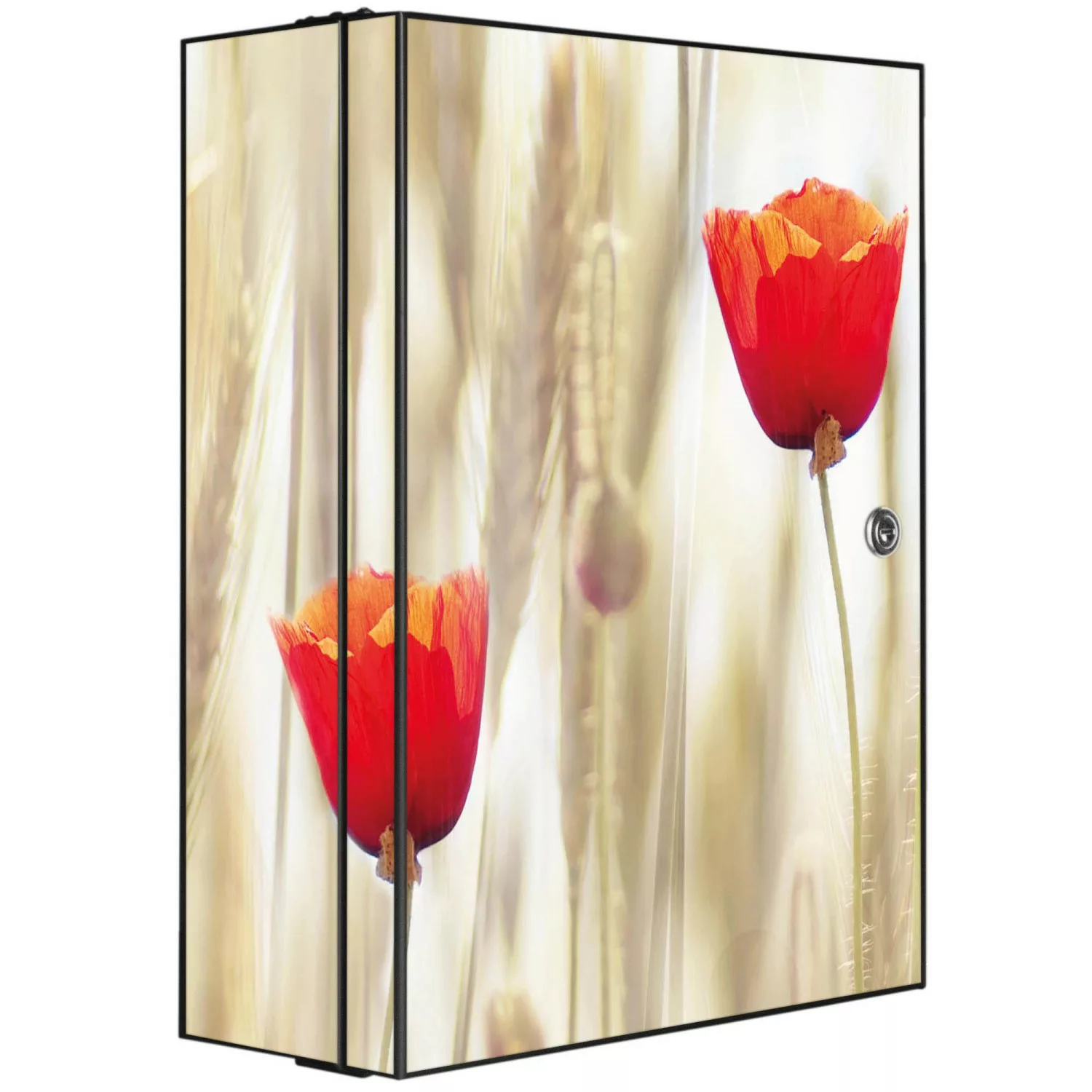 Banjado XXL Medizinschrank Abschliessbar 35x46x15cm Arzneischrank Anthrazit günstig online kaufen