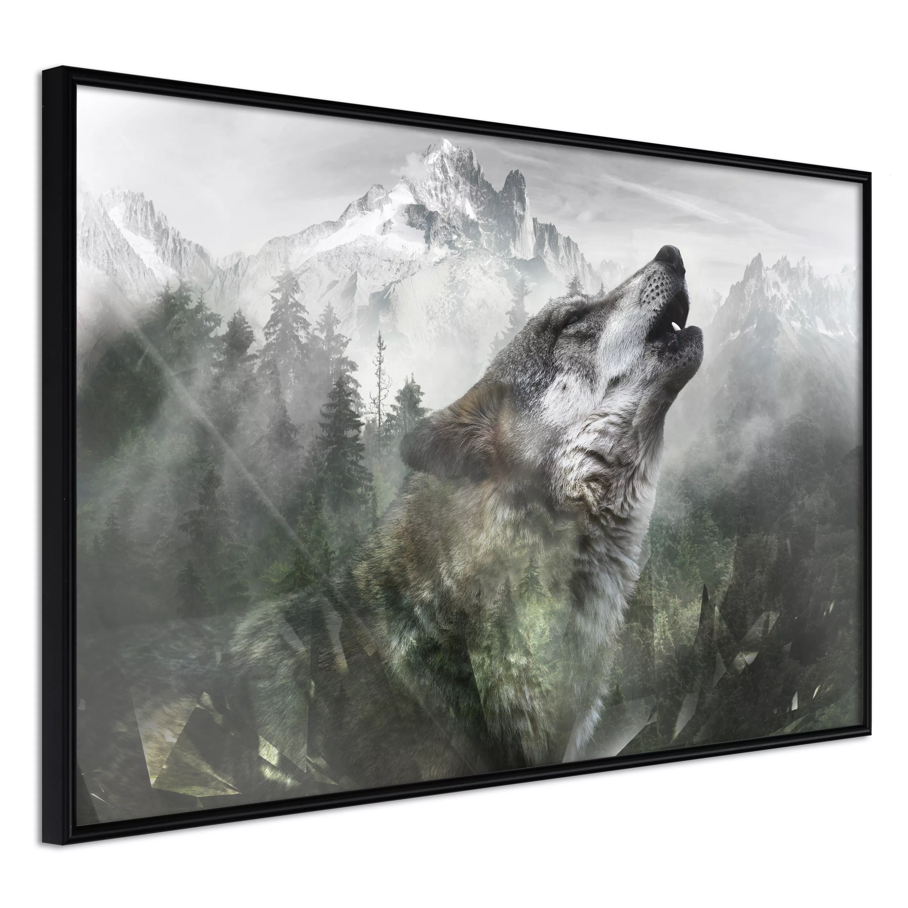 Poster - Wolf's Territory günstig online kaufen