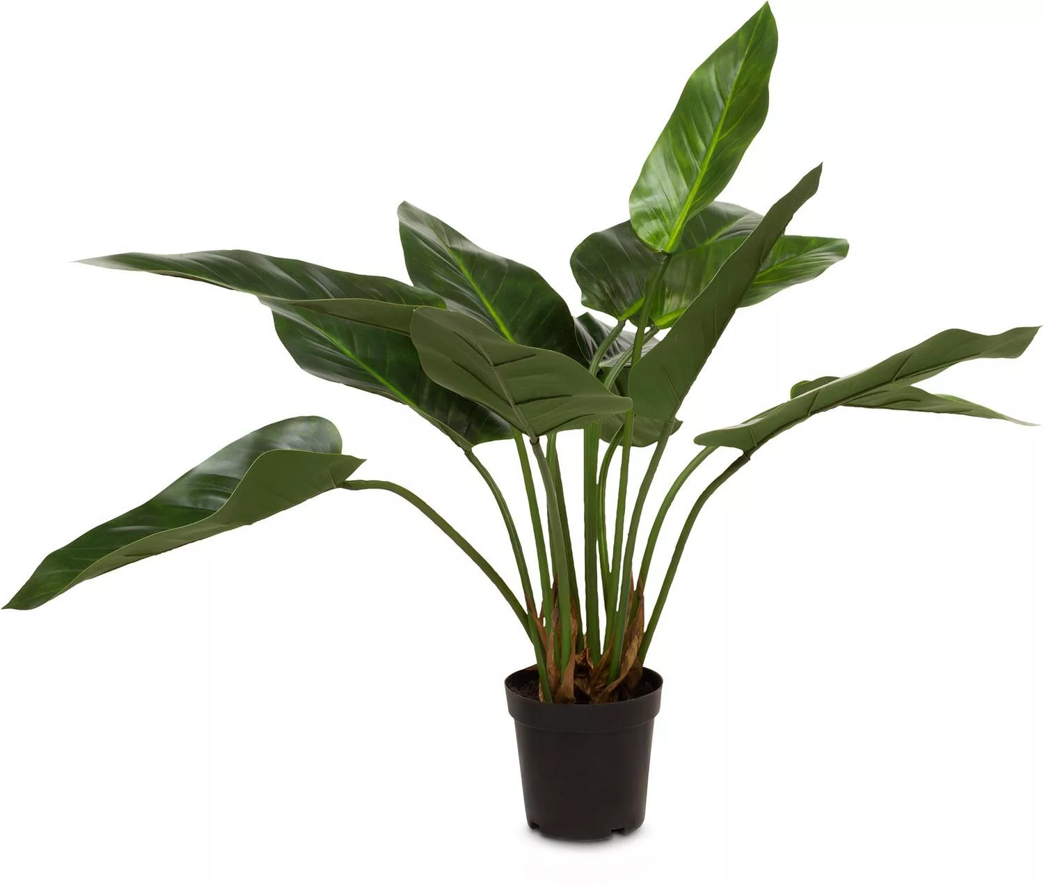 Künstliche Flamingoblume - Anthurium 65 cm günstig online kaufen