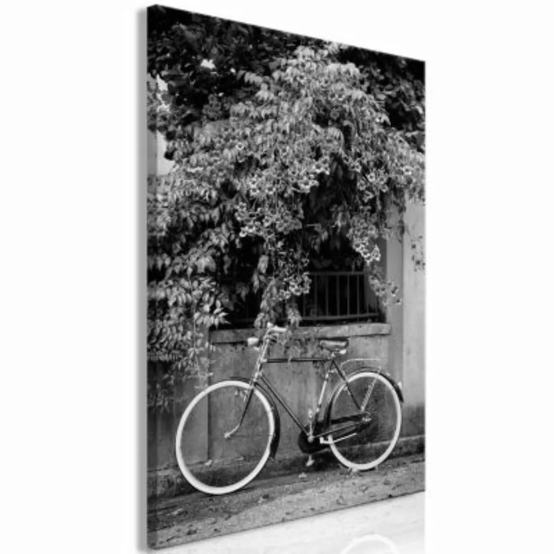 artgeist Wandbild Bicycle and Flowers (1 Part) Vertical schwarz/weiß Gr. 40 günstig online kaufen