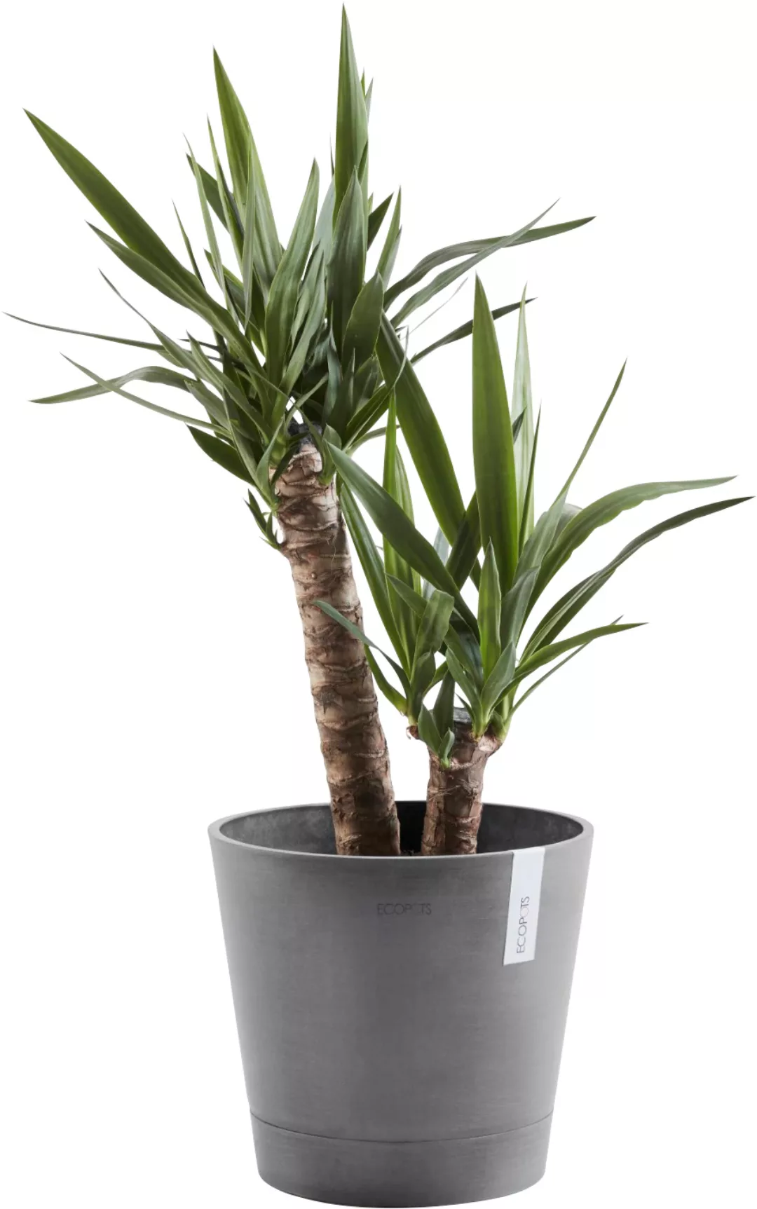 ECOPOTS Blumentopf "VENICE Grey", BxTxH: 40x40x35 cm günstig online kaufen