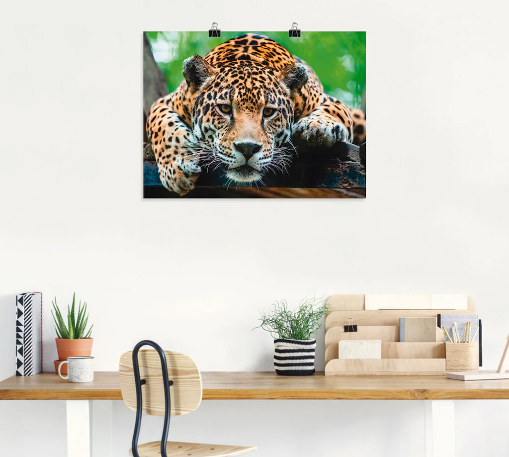 Artland Wandbild "Südamerikanischer Jaguar", Wildtiere, (1 St.), als Alubil günstig online kaufen