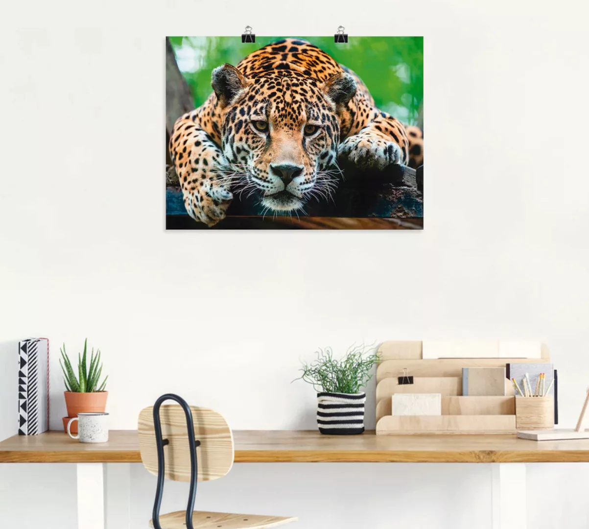 Artland Wandbild »Südamerikanischer Jaguar«, Wildtiere, (1 St.), als Alubil günstig online kaufen