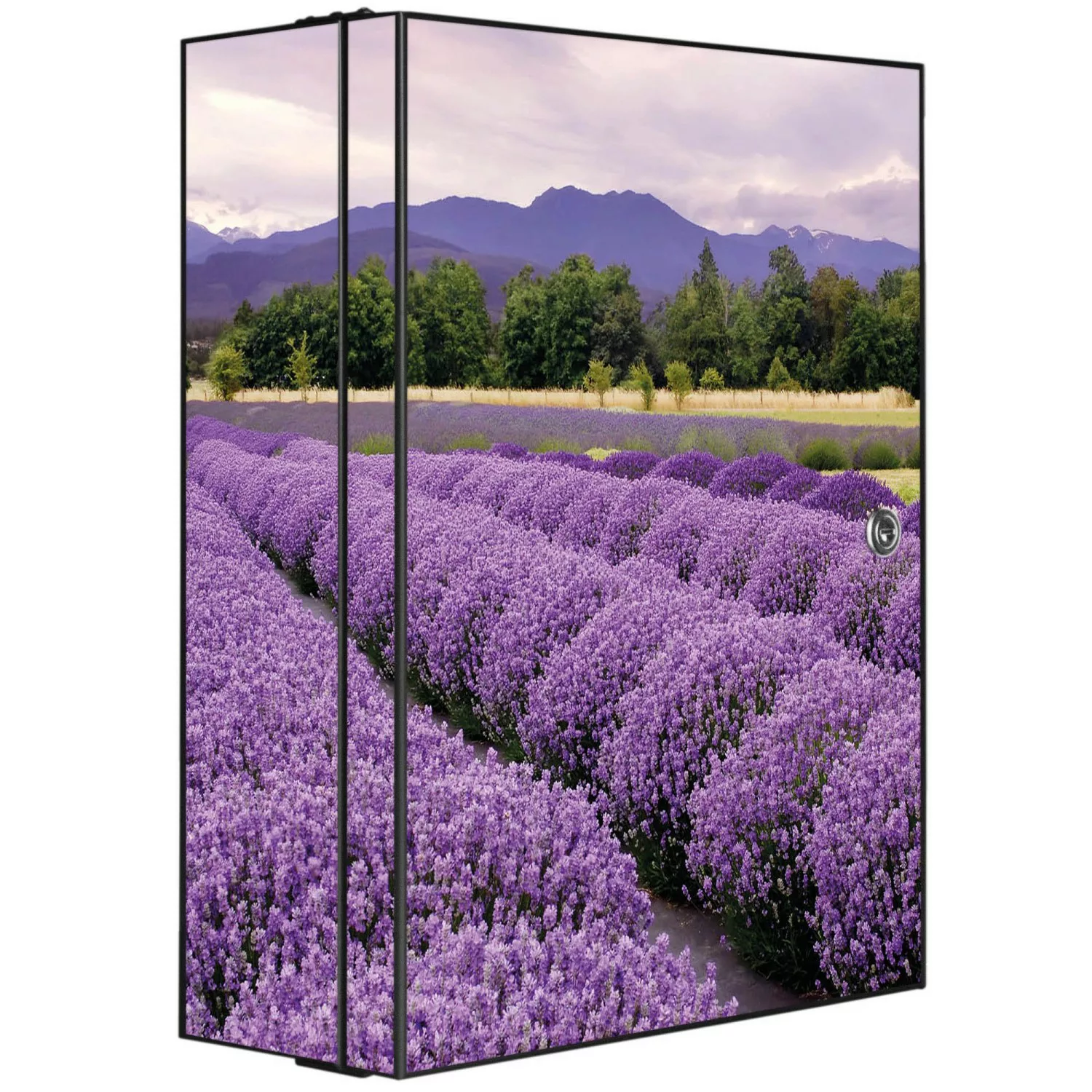 Banjado XXL Medizinschrank Abschliessbar 35x46x15cm Arzneischrank Anthrazit günstig online kaufen