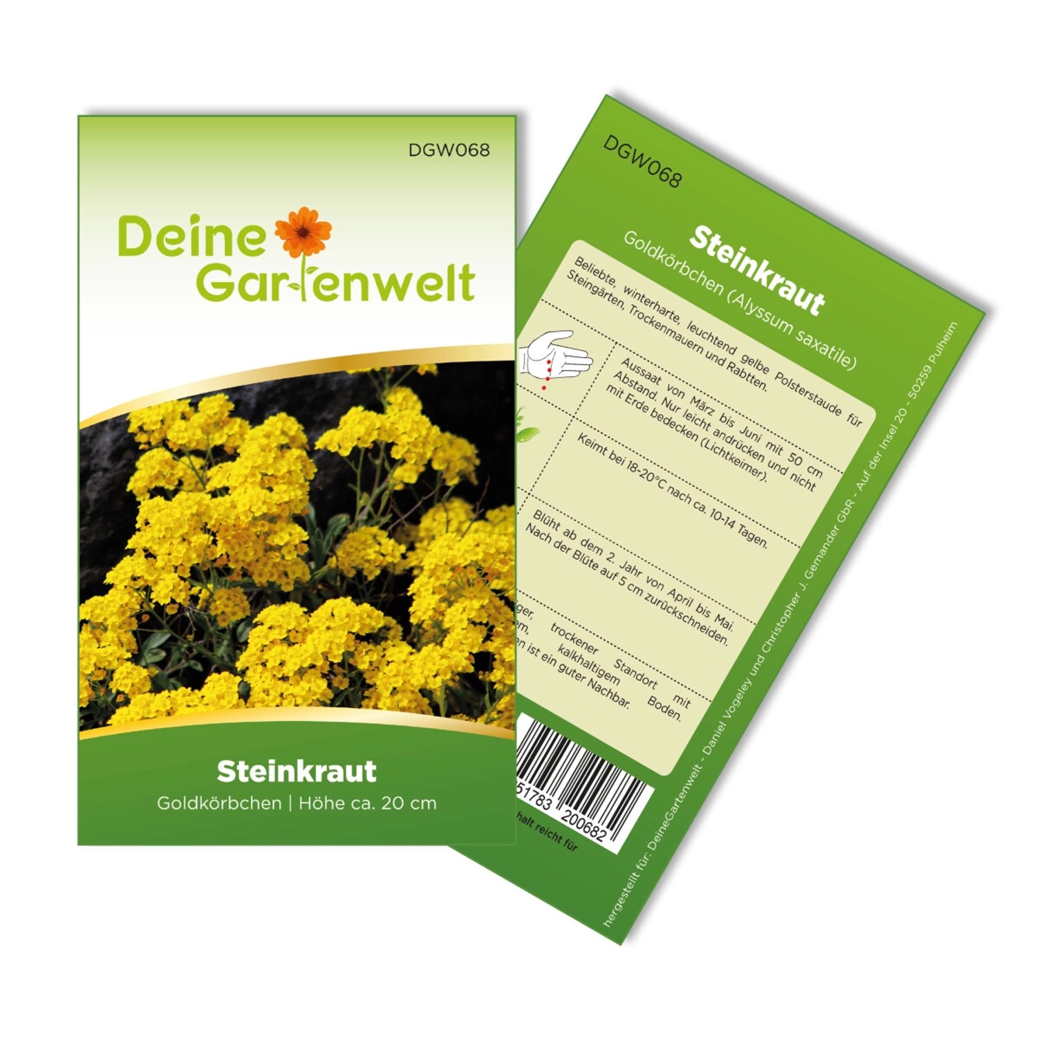 Deine Gartenwelt Steinkraut Goldkörbchen Samen günstig online kaufen