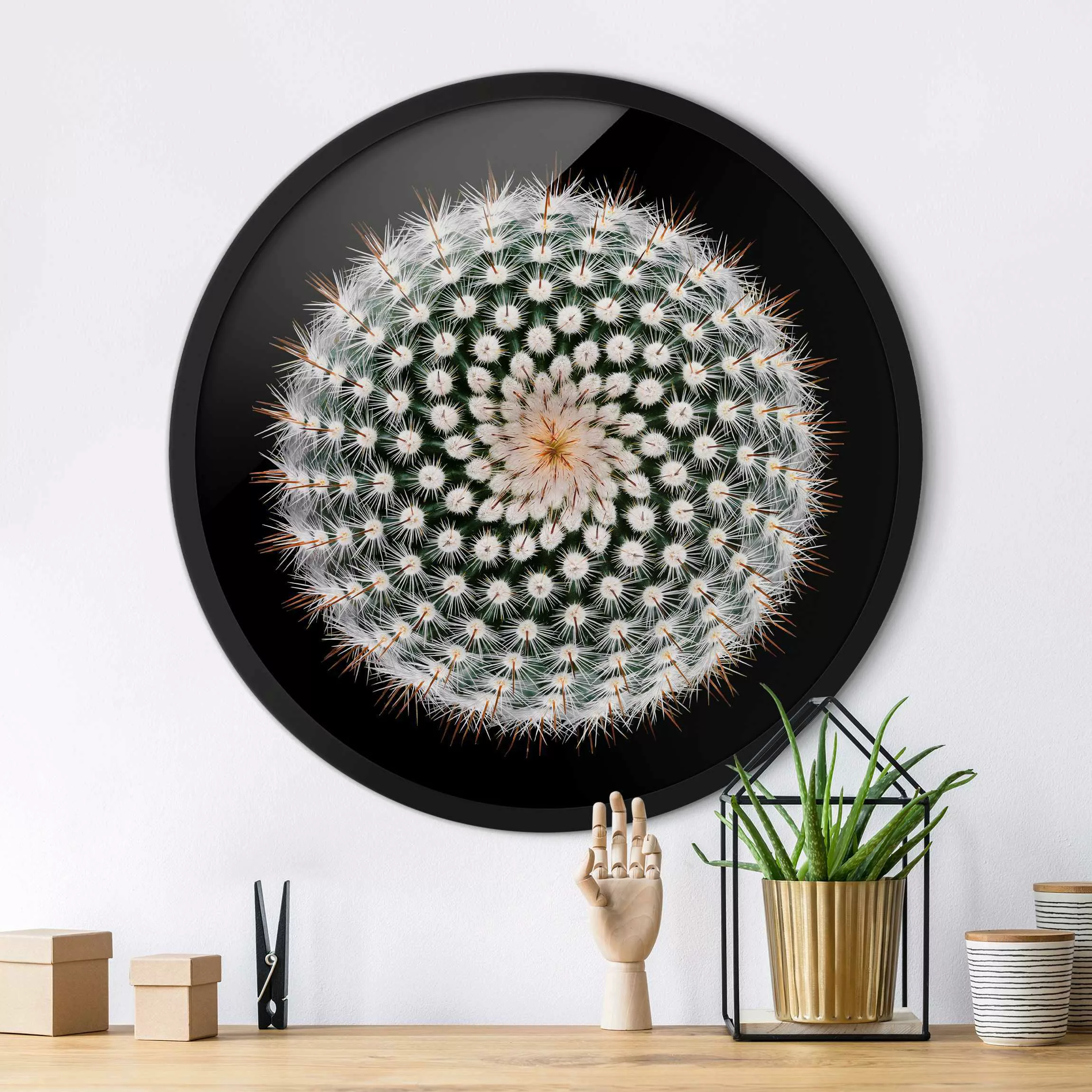 Rundes Gerahmtes Bild Kaktusblüte günstig online kaufen