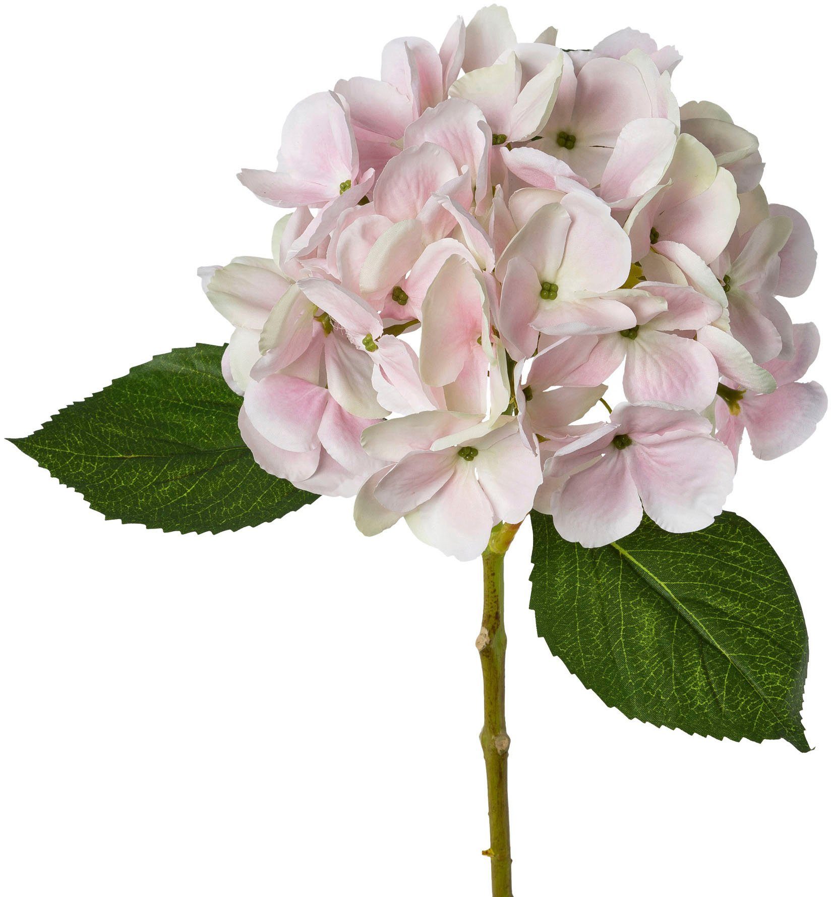 Kunstblume Hortensie Hortensie, Creativ green, Höhe günstig online kaufen