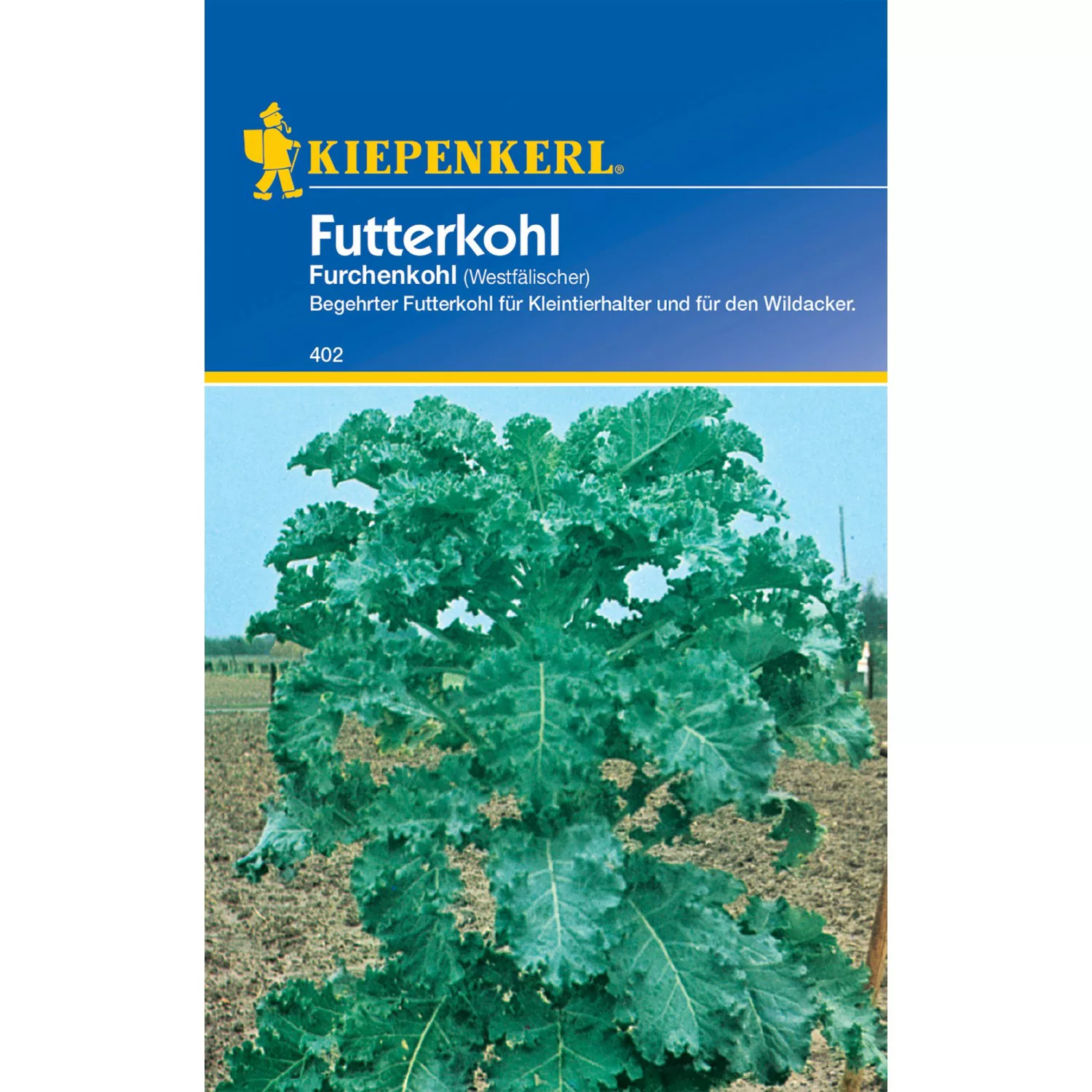 Kiepenkerl Futterkohl Westfälischer Furchenkohl günstig online kaufen