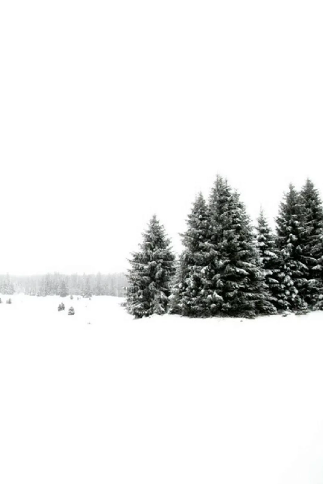 Poster / Leinwandbild - White White Winter 2/2 günstig online kaufen