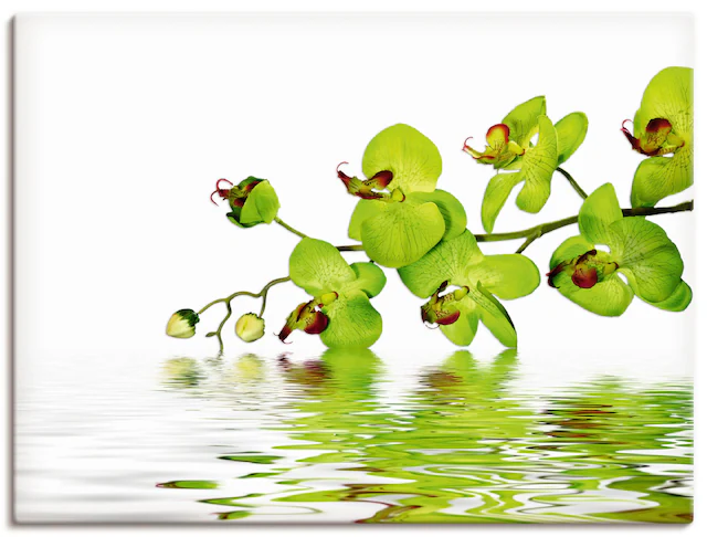 Artland Wandbild "Schöne Orchidee mit grünem Hintergrund", Blumen, (1 St.), günstig online kaufen