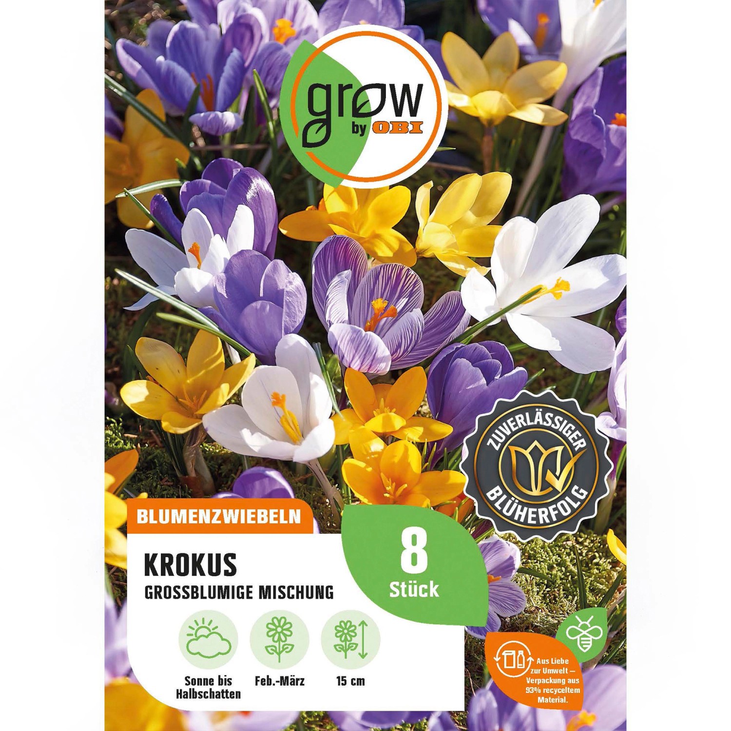 GROW by OBI Krokus großblumige Mischung 8 Stück Crocus vernus Mixed günstig online kaufen