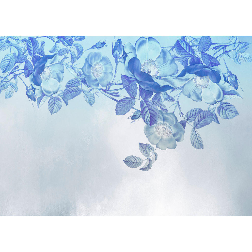 KOMAR Vlies Fototapete - Blue Aura  - Größe 350 x 250 cm mehrfarbig günstig online kaufen