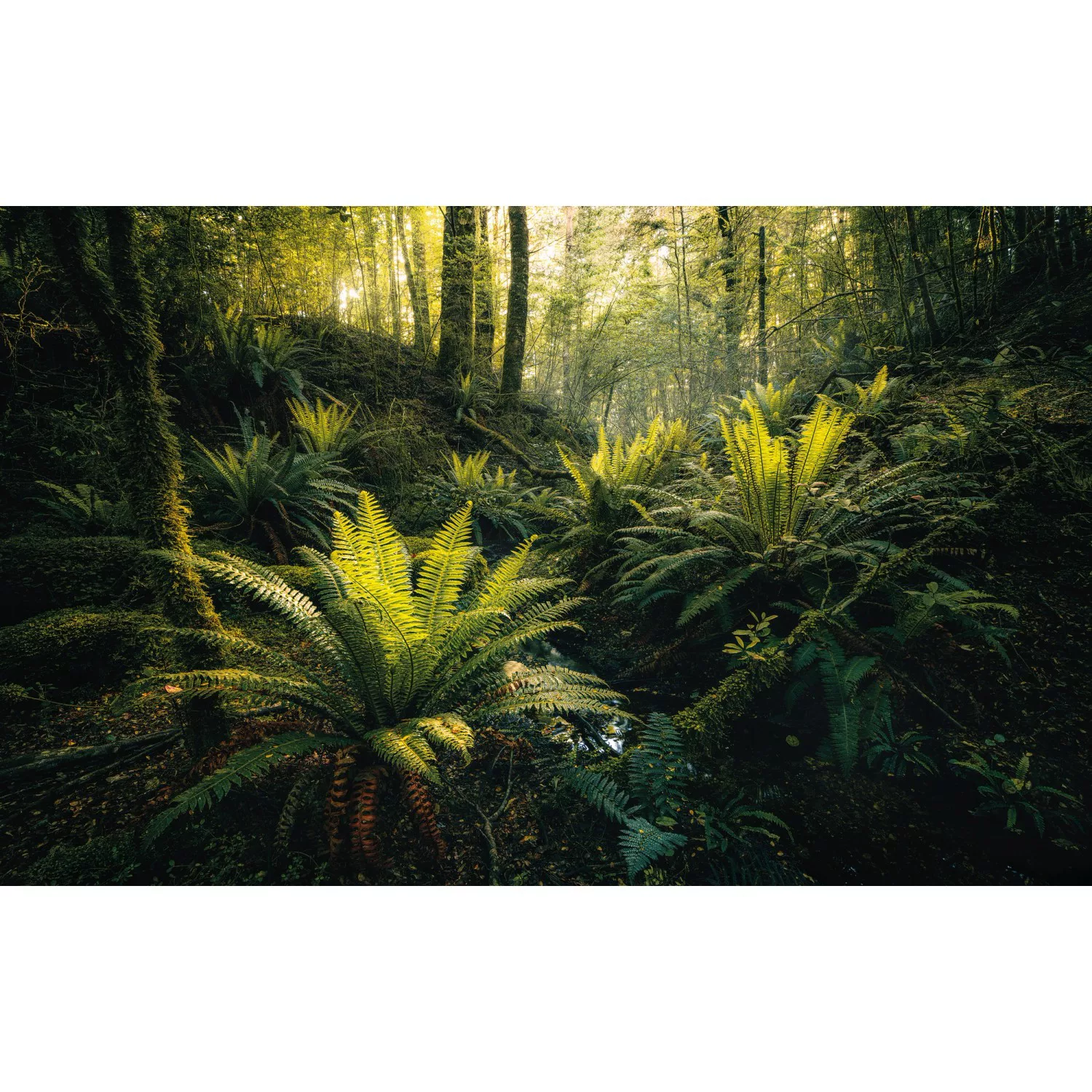 Sanders & Sanders Fototapete Waldlandschaft Grün 450 x 280 cm 612691 günstig online kaufen