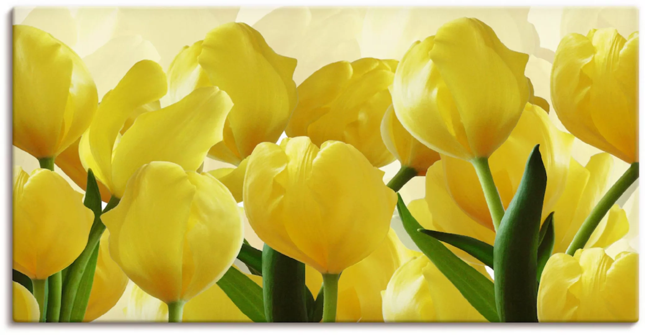 Artland Wandbild "Tulpenfeld gelb", Blumen, (1 St.) günstig online kaufen