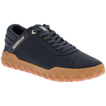 Caterpillar  Sneaker Hex + Canvas günstig online kaufen