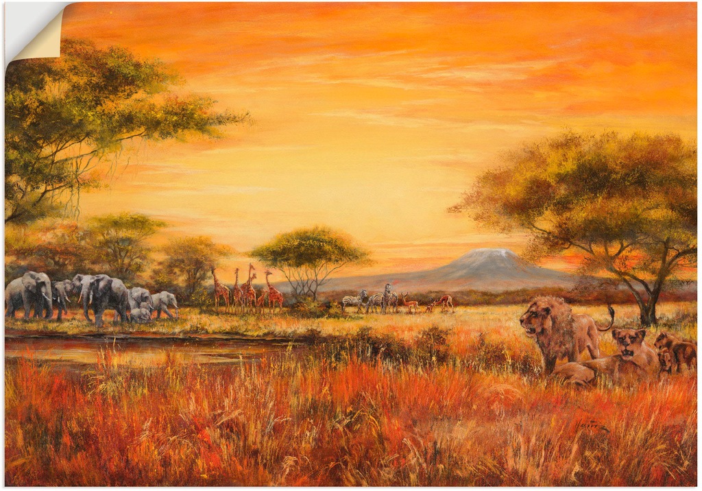 Artland Wandbild "Afrikanische Steppe mit Löwen", Afrika, (1 St.), als Alub günstig online kaufen