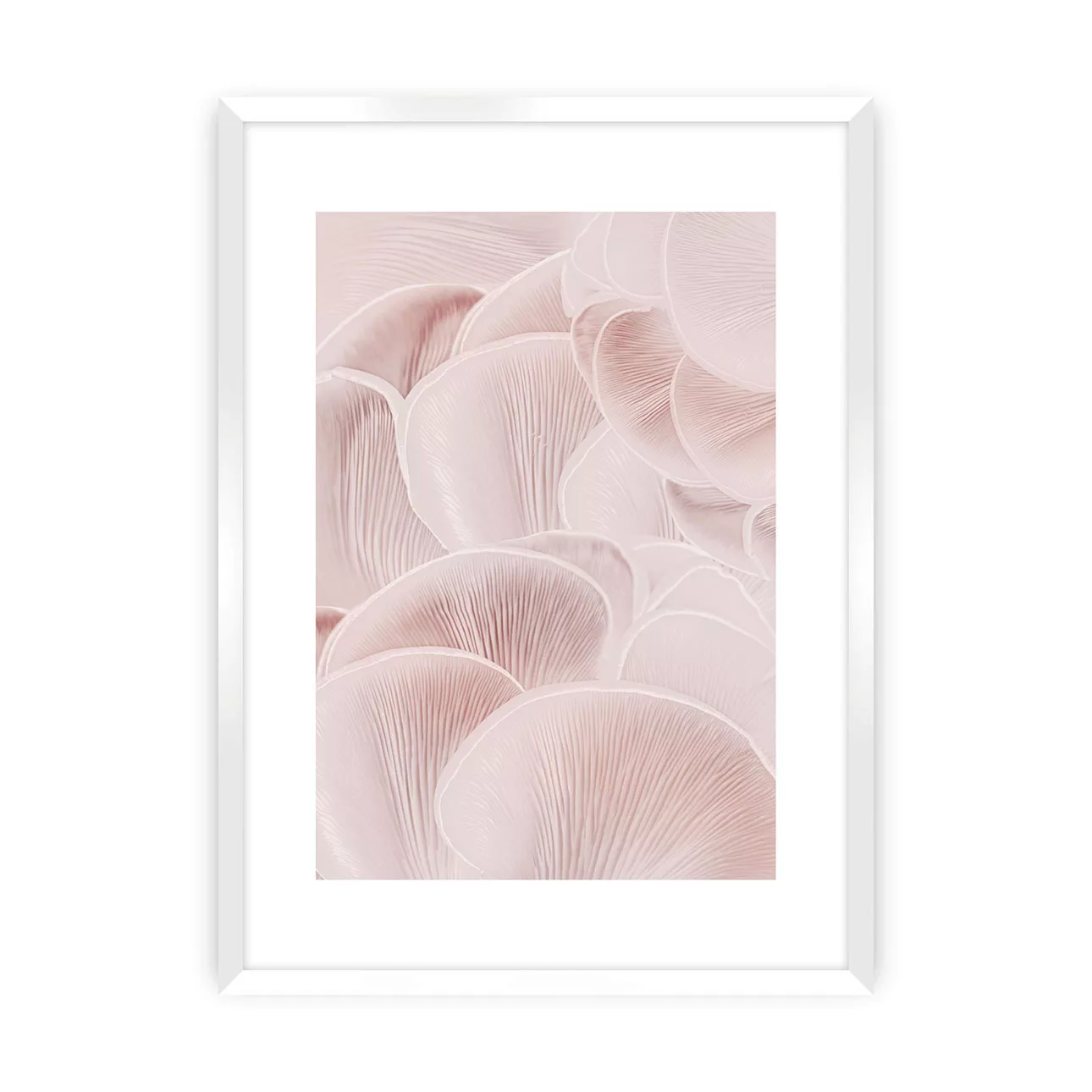 Poster Pastel Pink I, 40 x 50 cm , Ramka: Biała günstig online kaufen