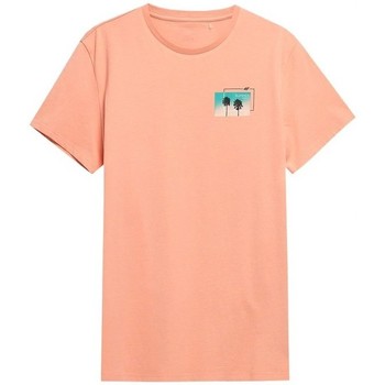 4F  T-Shirt TSM043 günstig online kaufen