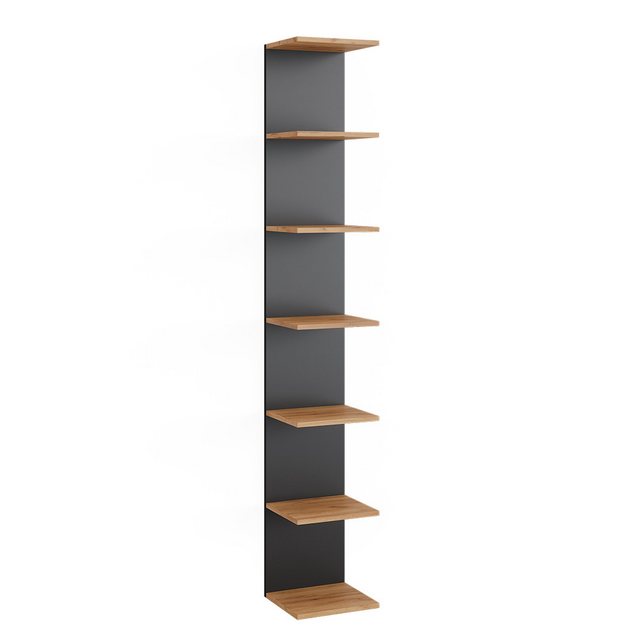 Vicco Bücherregal Paolo, Anthrazit/Goldkraft Eiche, 30 x 190 cm günstig online kaufen