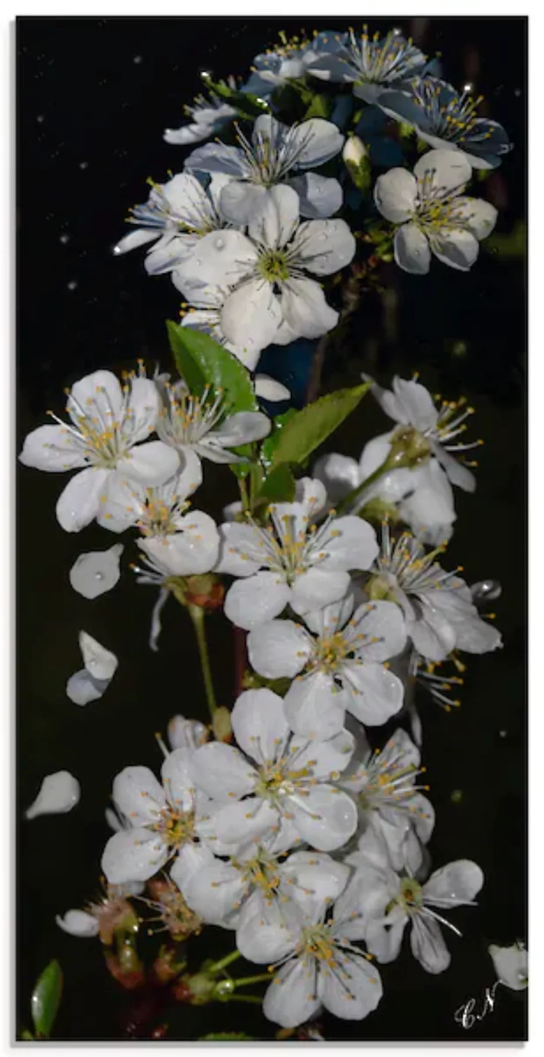 Artland Glasbild "Baumblüte", Blumen, (1 St.), in verschiedenen Größen günstig online kaufen