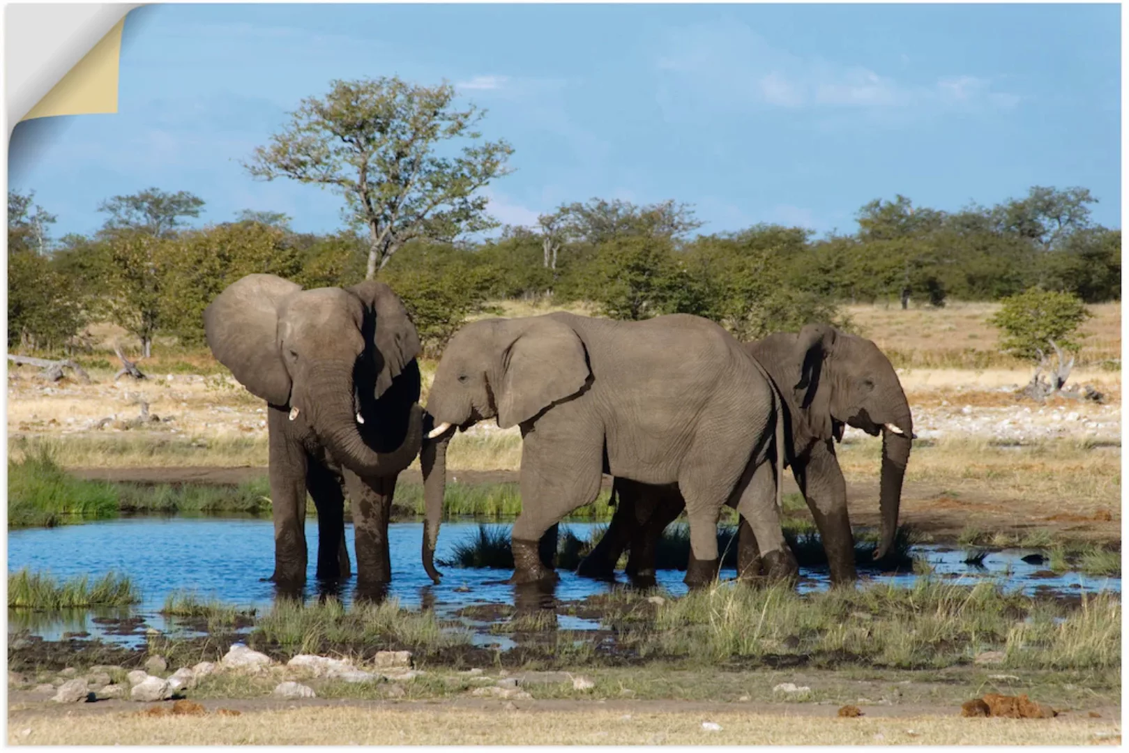 Artland Wandbild "Afrikanischer Elefant EtoshaNationalpark", Elefanten Bild günstig online kaufen