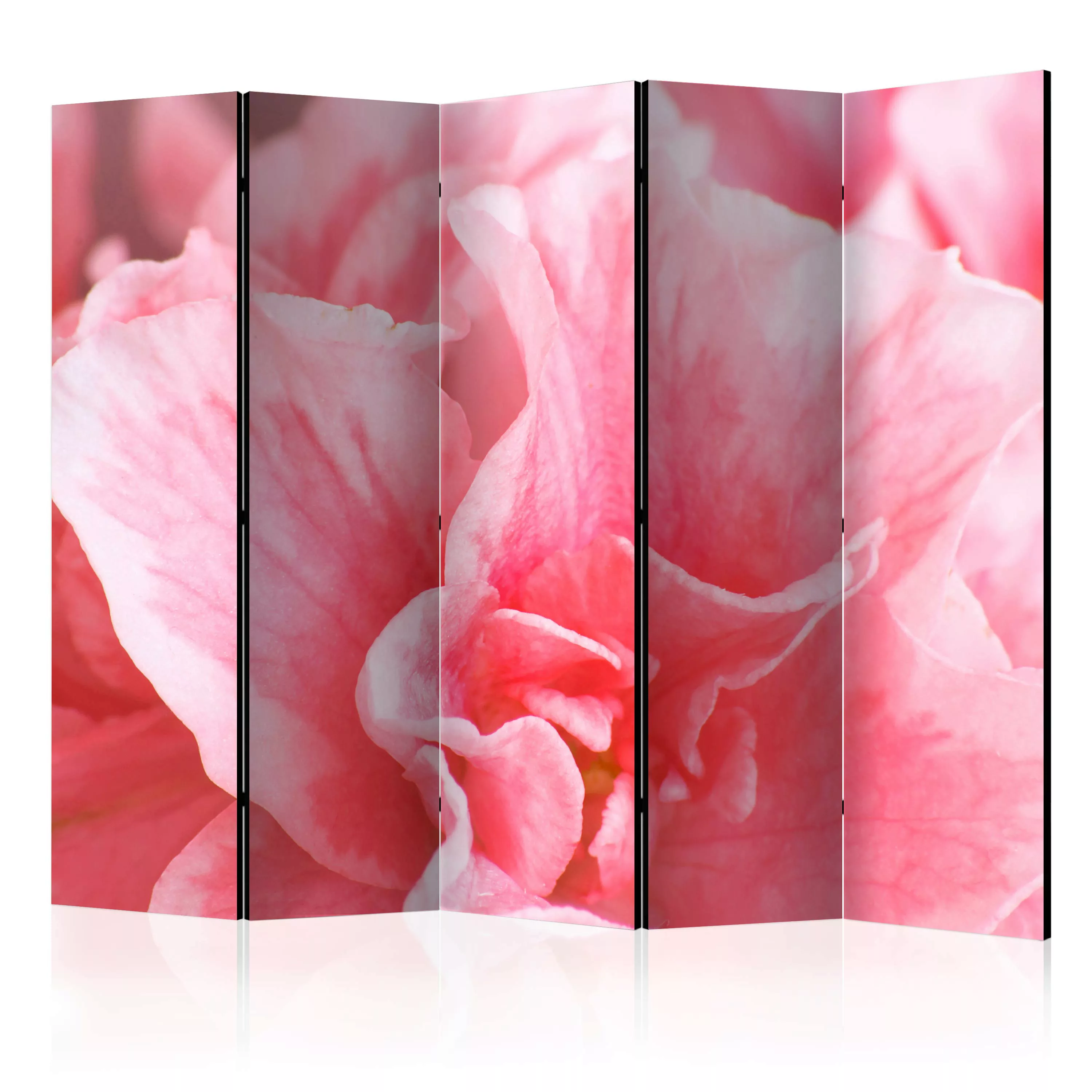 5-teiliges Paravent - Pink Azalea Flowers Ii [room Dividers] günstig online kaufen