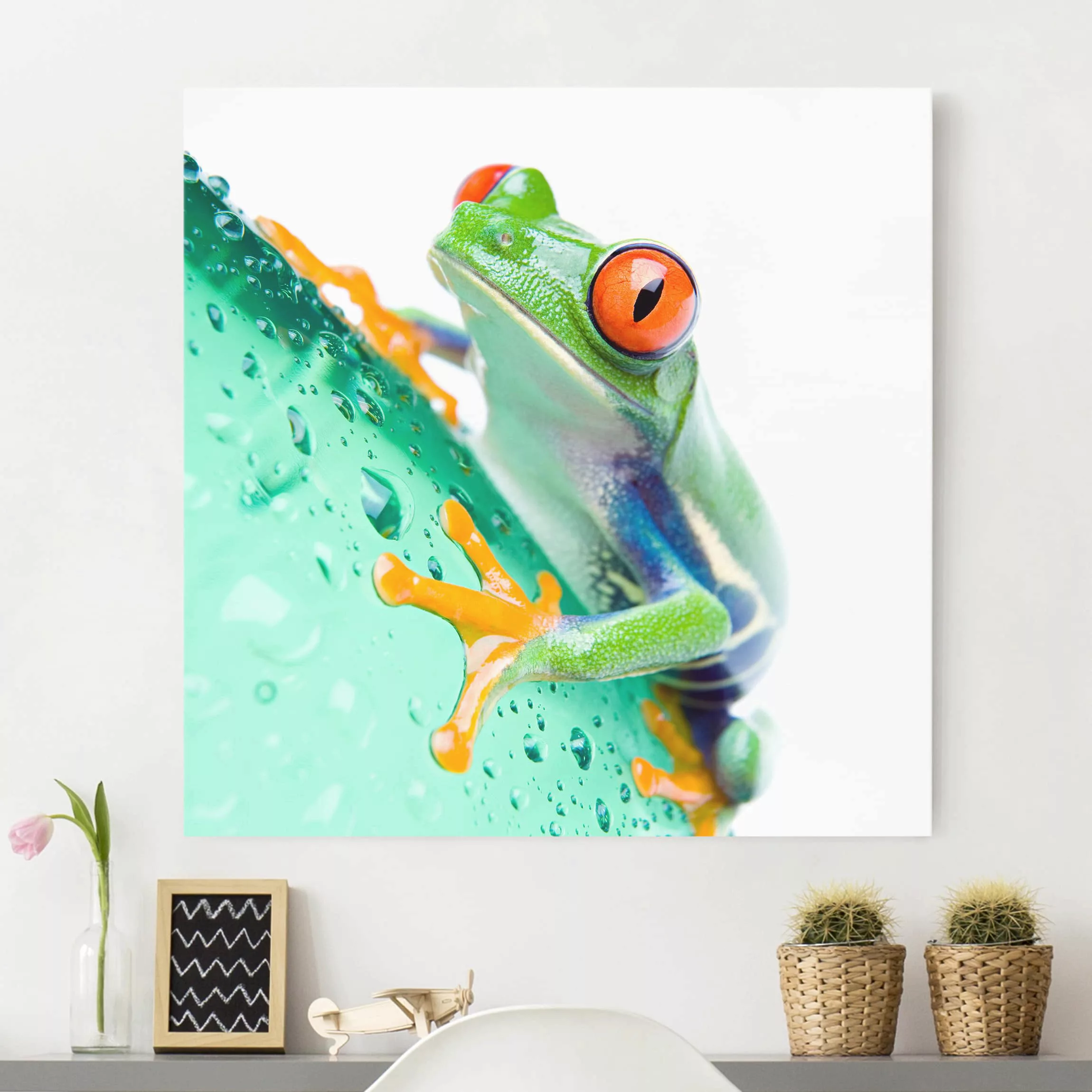 Leinwandbild Tiere - Quadrat Frog günstig online kaufen