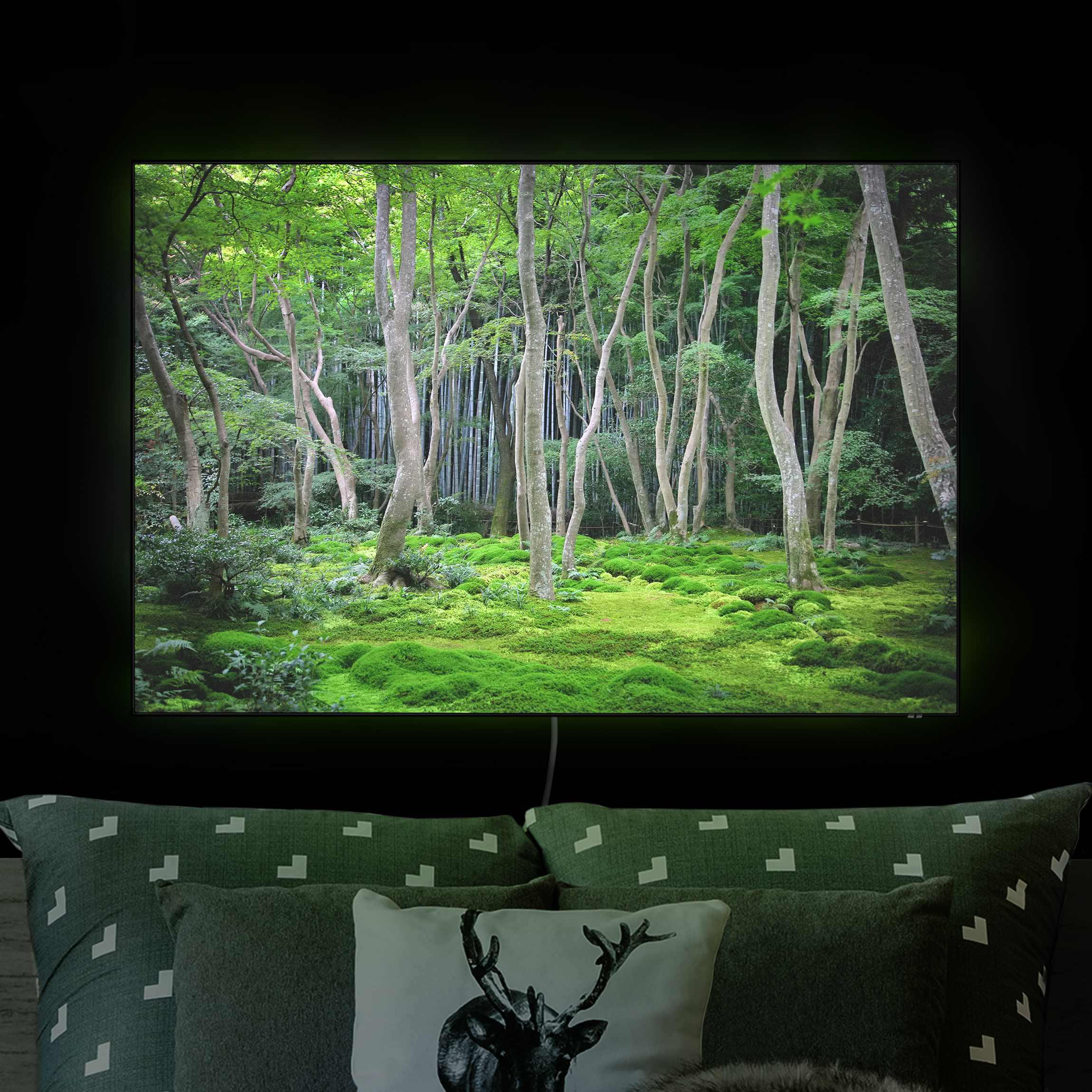 LED-Wechselbild Japanischer Wald günstig online kaufen