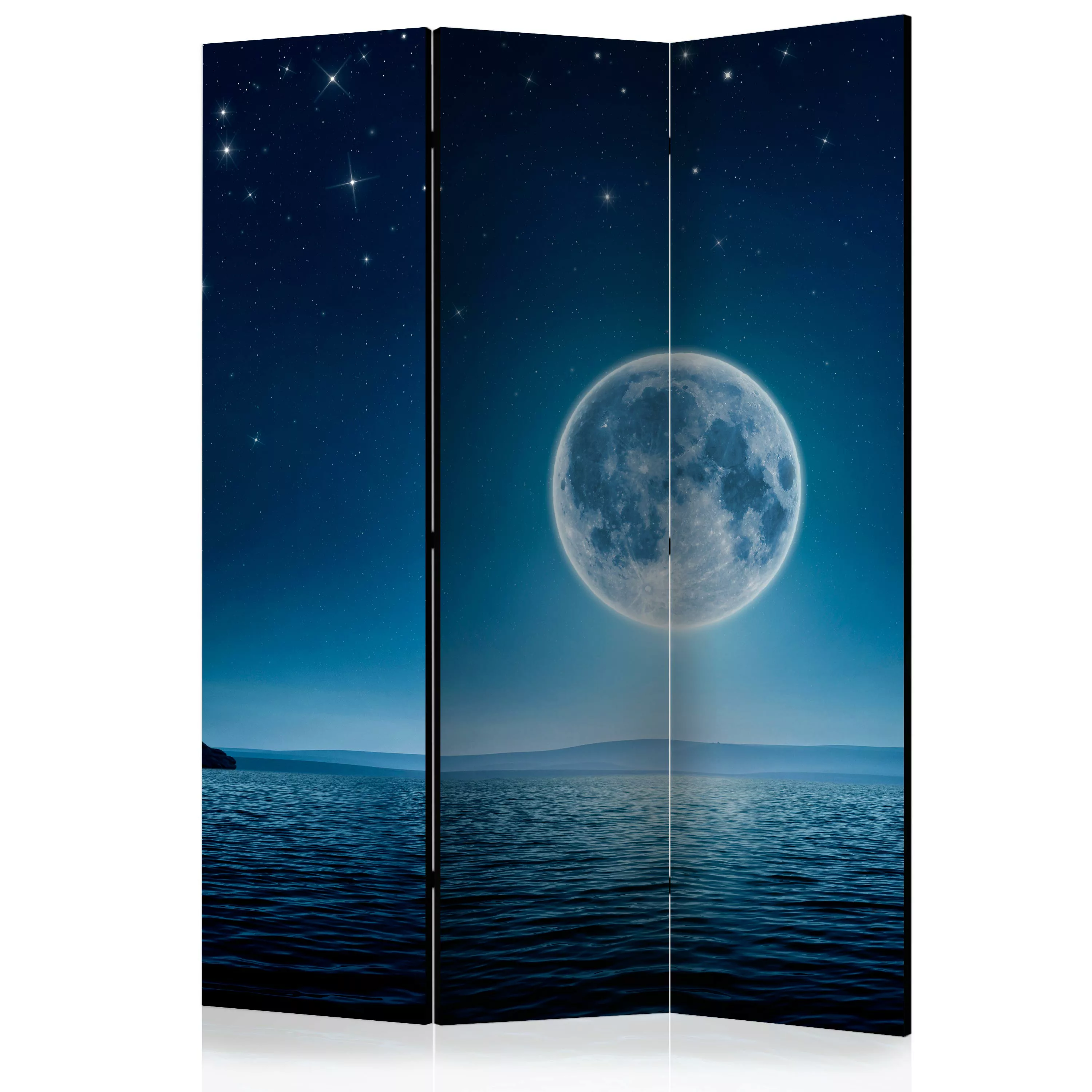 3-teiliges Paravent - Moonlit Night [room Dividers] günstig online kaufen