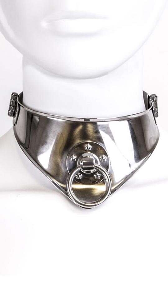 Edelstahl-Halsband mit Ring günstig online kaufen