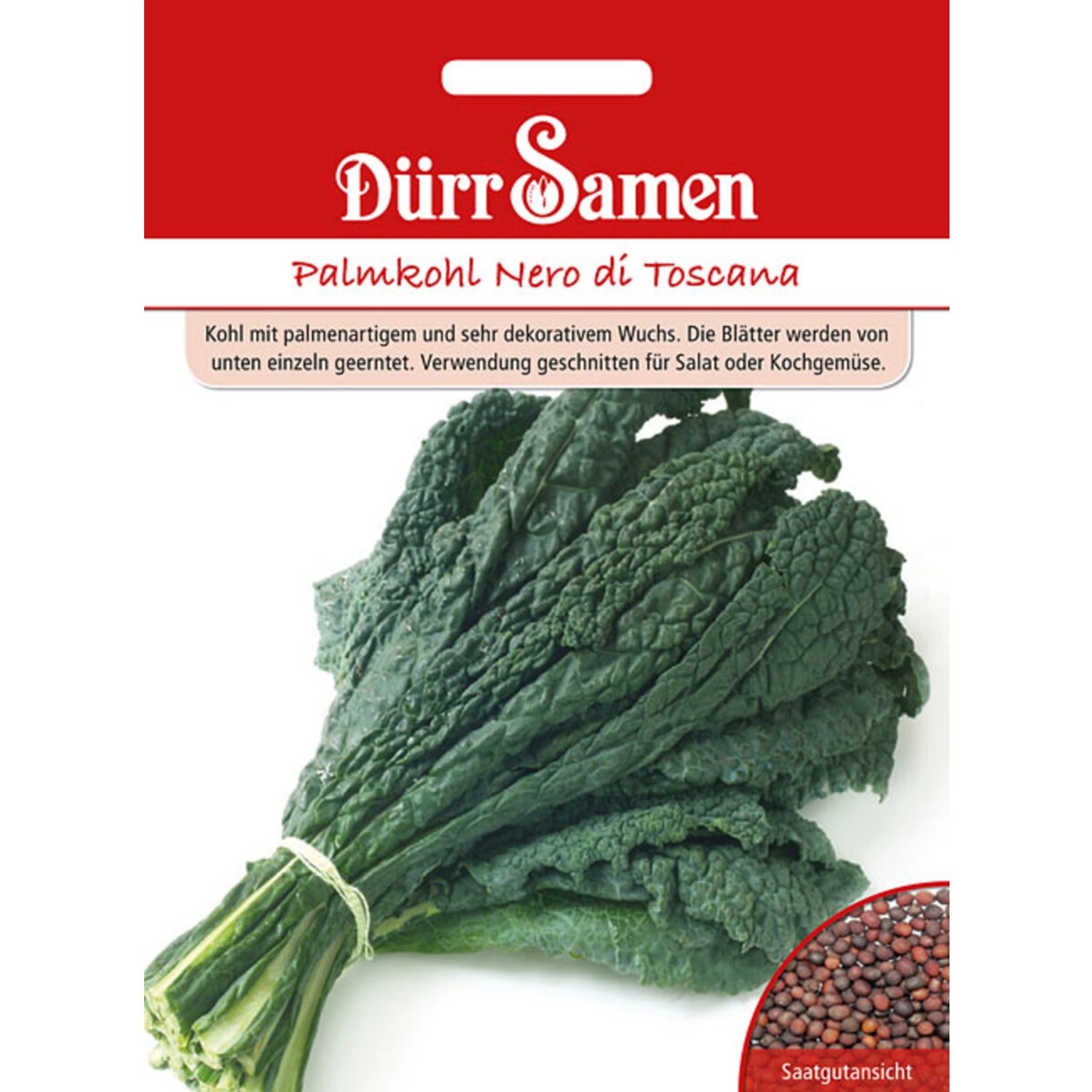 Dürr Samen Palmkohl Nero Di Toscana Saatgut günstig online kaufen