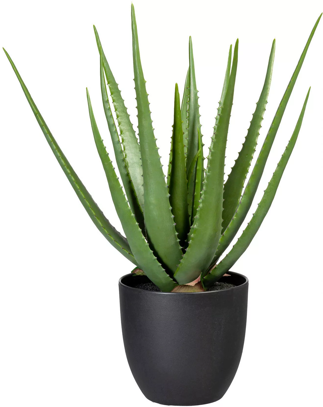Creativ green Künstliche Zimmerpflanze "Aloe" günstig online kaufen