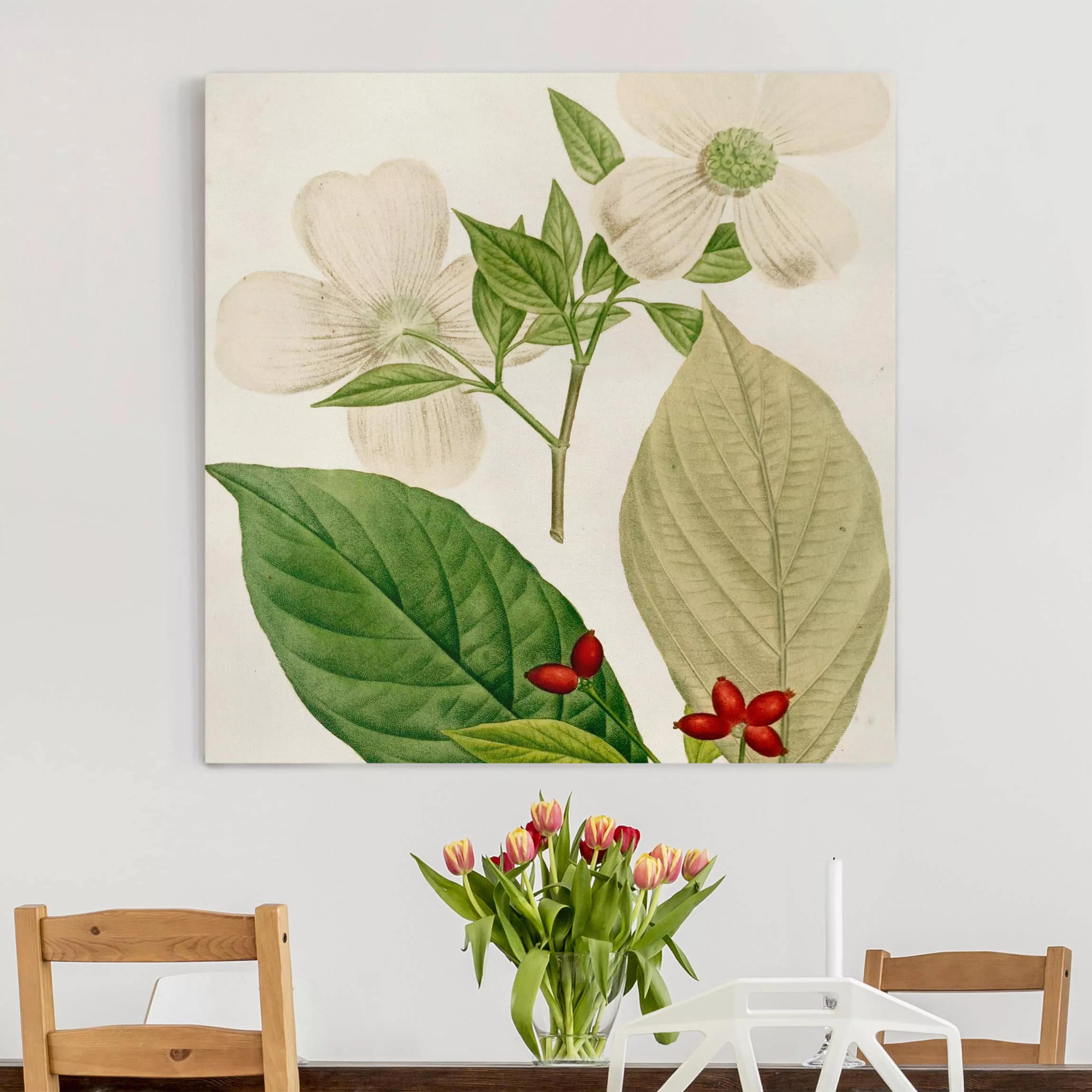 Leinwandbild Botanik - Quadrat Tableau Blatt Blüte Frucht III günstig online kaufen