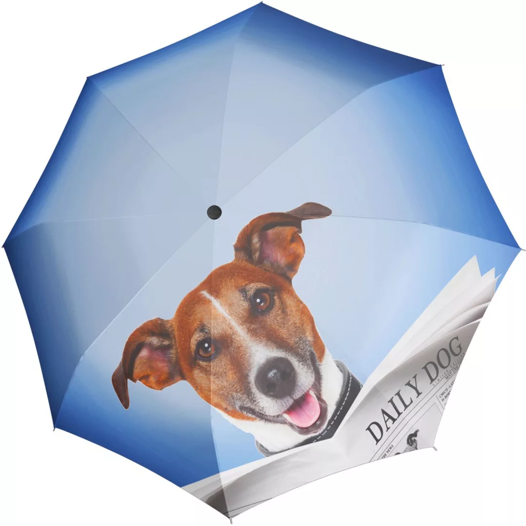 doppler Stockregenschirm "Modern Art Lang Automatik, Daily Dog" günstig online kaufen