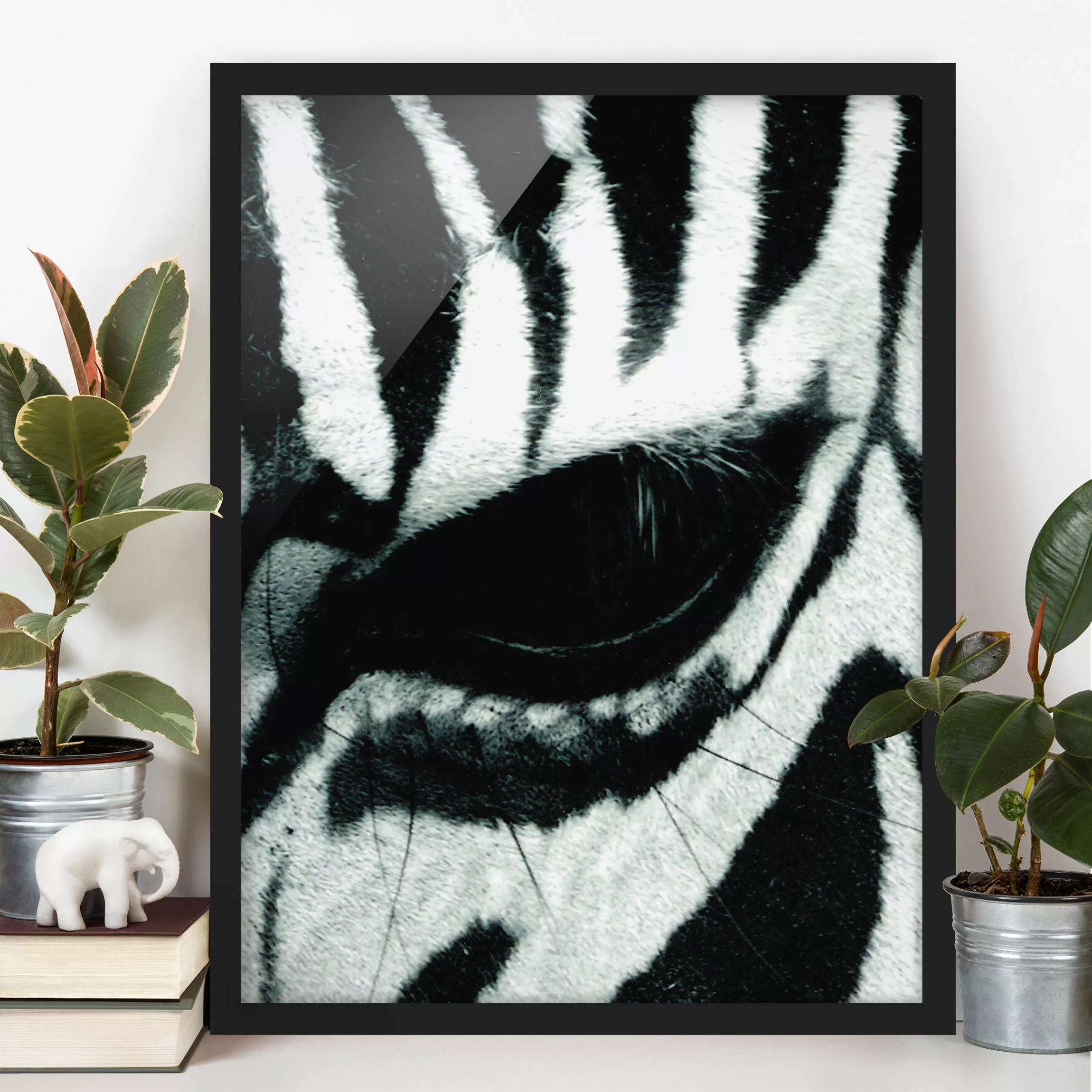 Bild mit Rahmen Tiere - Hochformat Zebra Crossing No.4 günstig online kaufen
