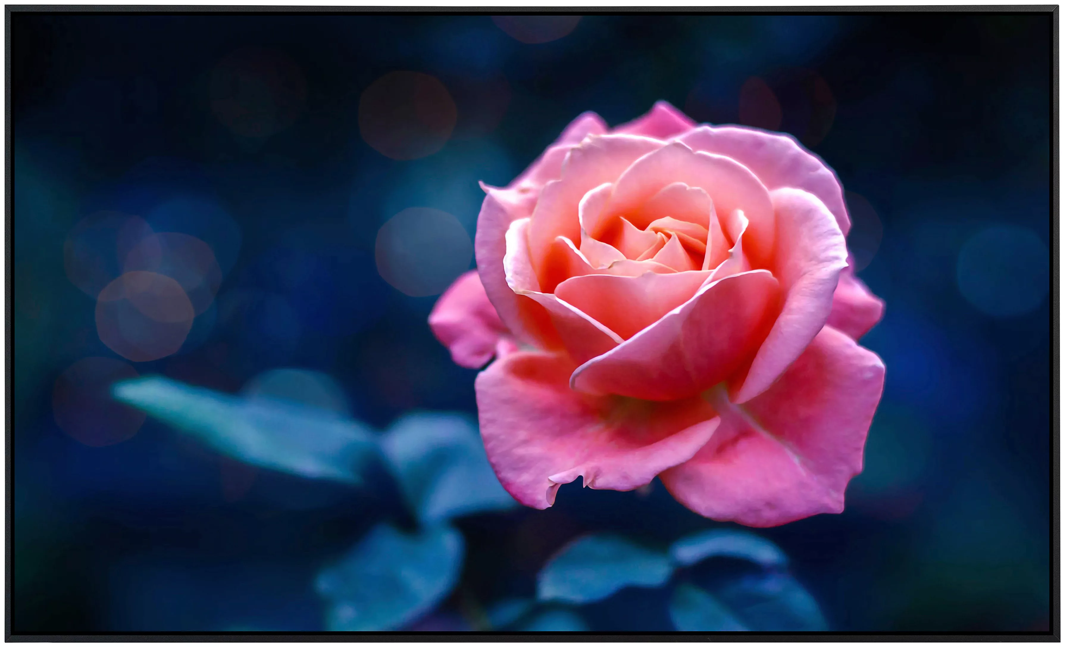 Papermoon Infrarotheizung »Rose«, sehr angenehme Strahlungswärme günstig online kaufen