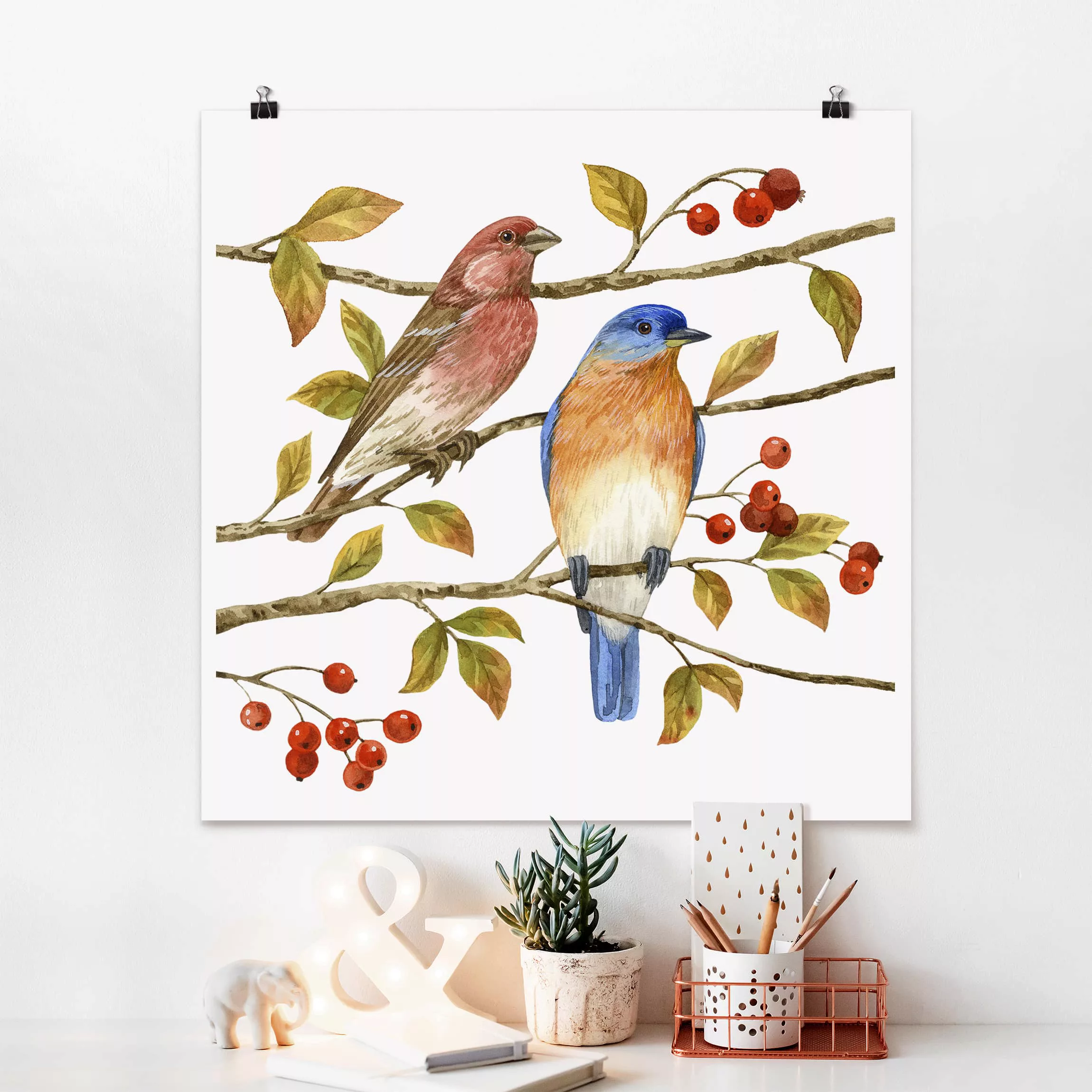 Poster Tiere - Quadrat Vögel und Beeren - Hüttensänger günstig online kaufen