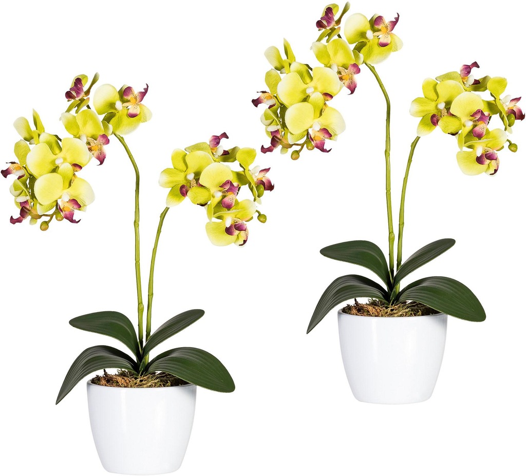 Creativ green Kunstpflanze "Phalaenopsis" günstig online kaufen